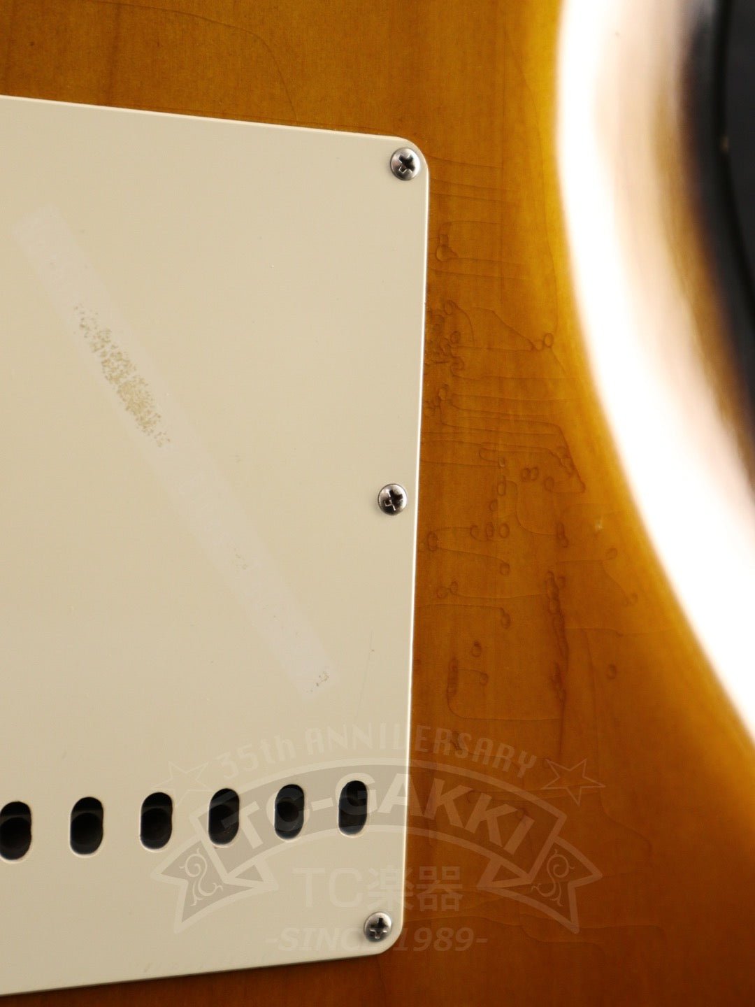 American Vintage '57 Stratocaster - TC楽器 - TCGAKKI