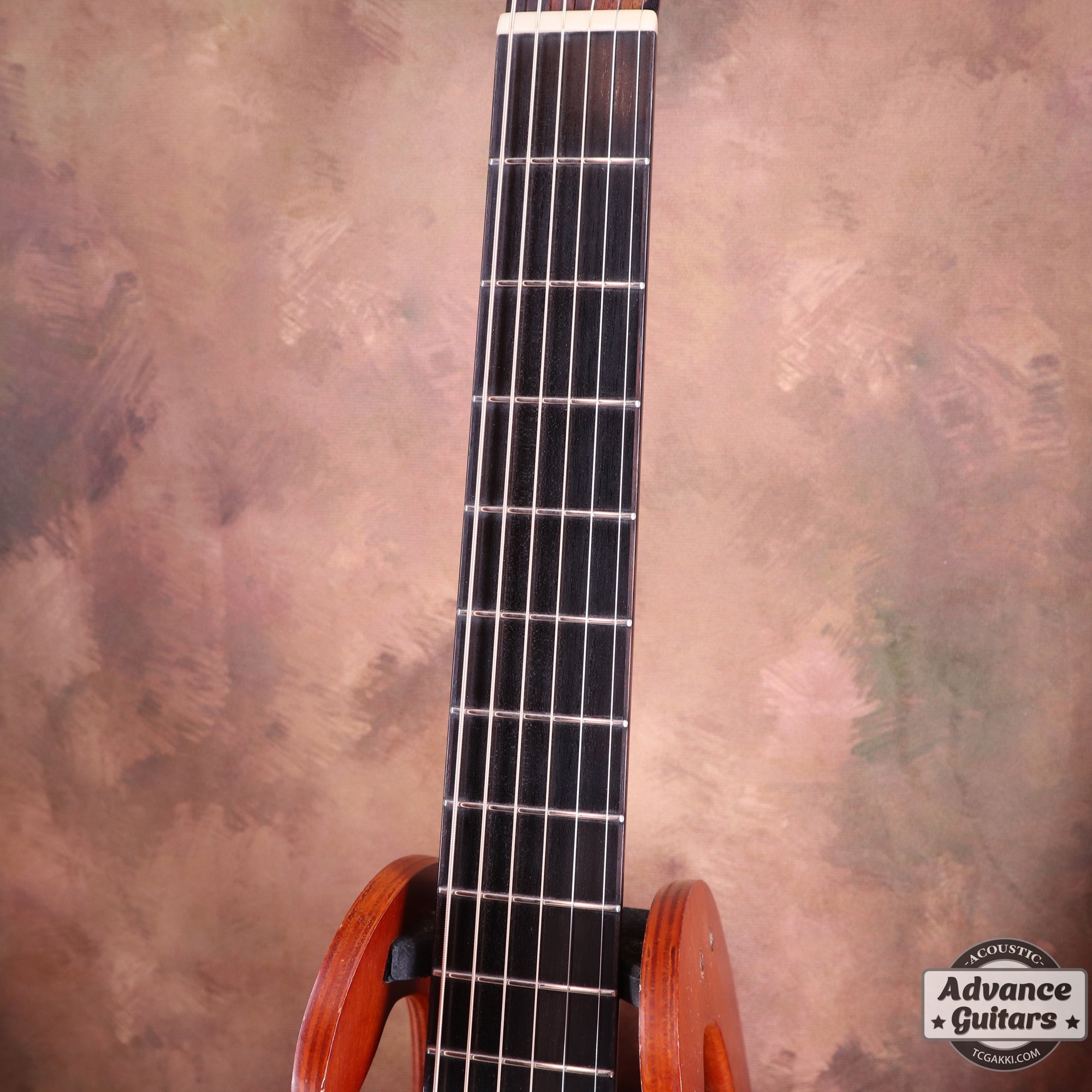 AN-WC White Spruce / Camatillo - TC楽器 - TCGAKKI