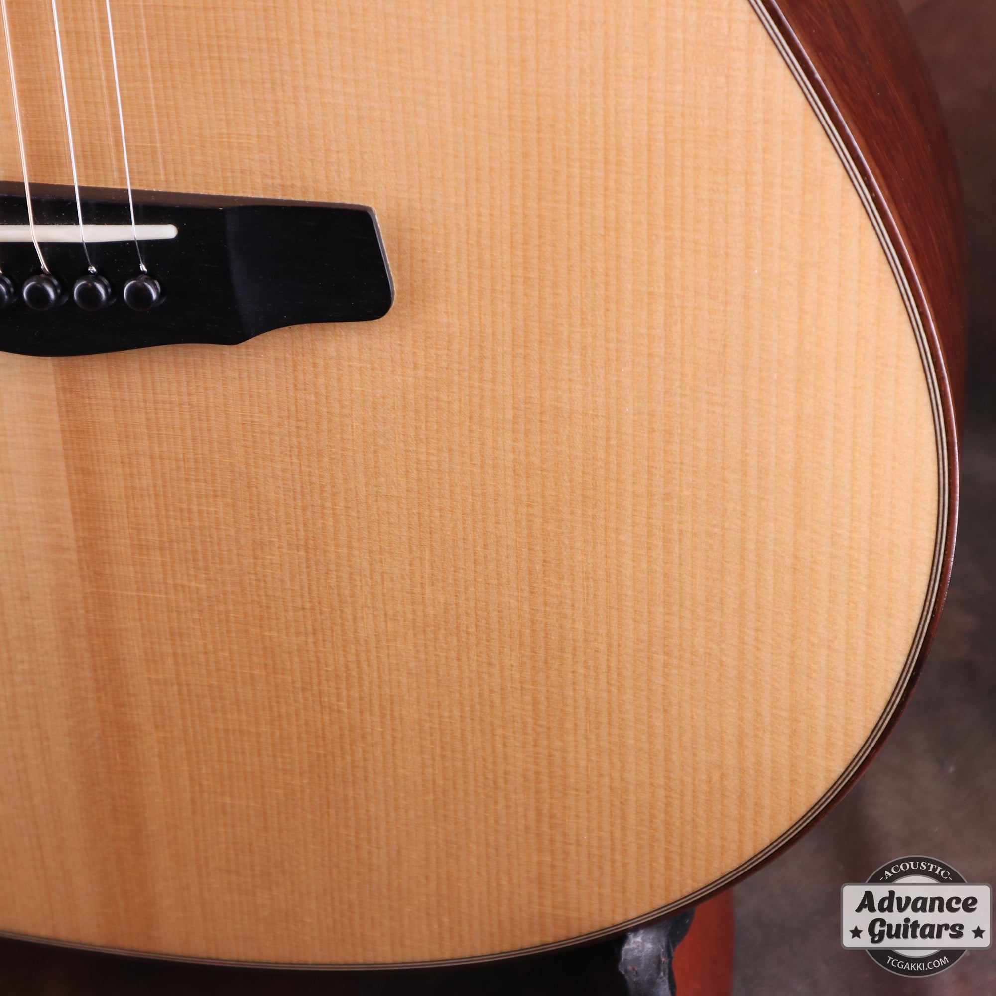 AN-WC White Spruce / Camatillo - TC楽器 - TCGAKKI