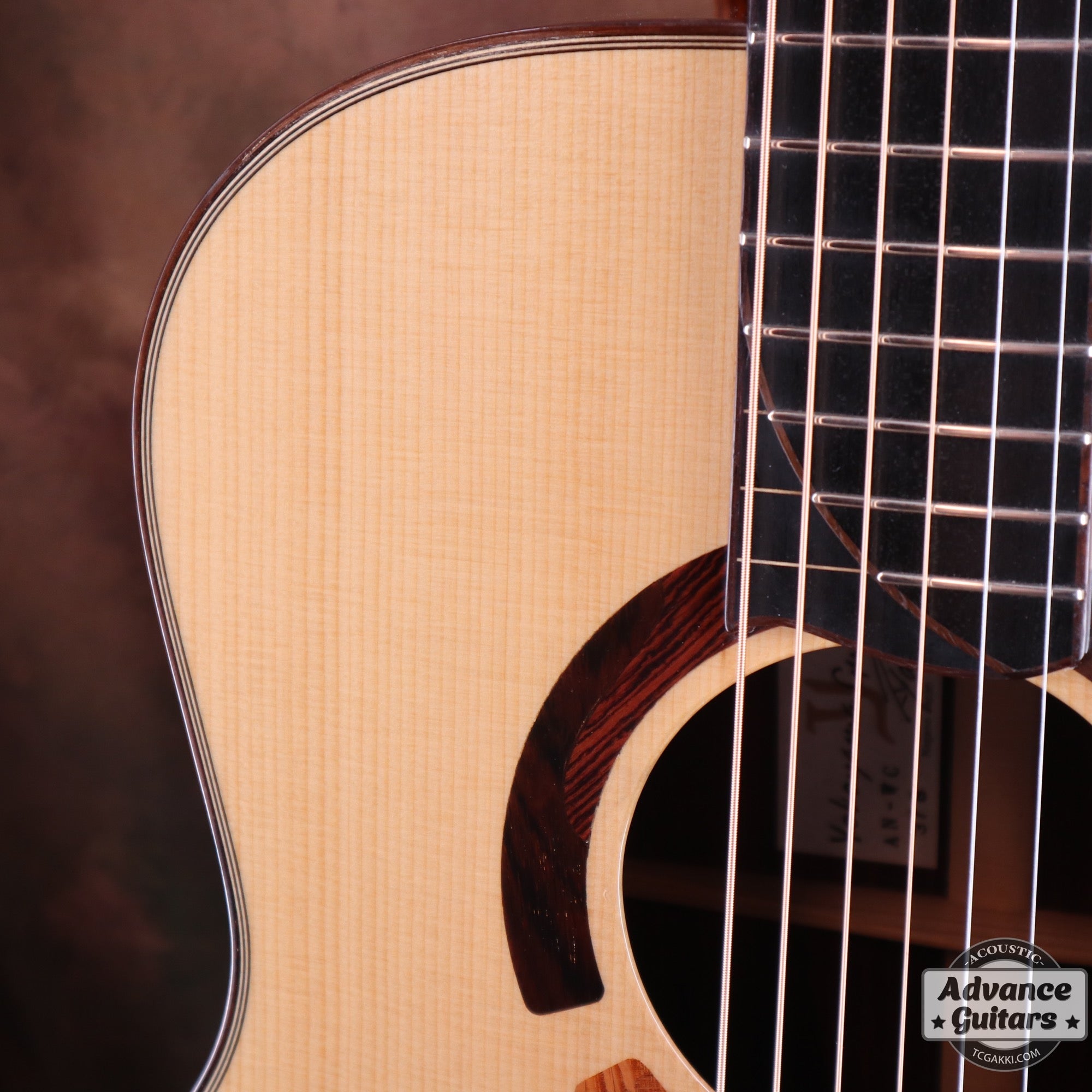 AN-WC White Spruce / Camatillo - TC楽器 - TCGAKKI