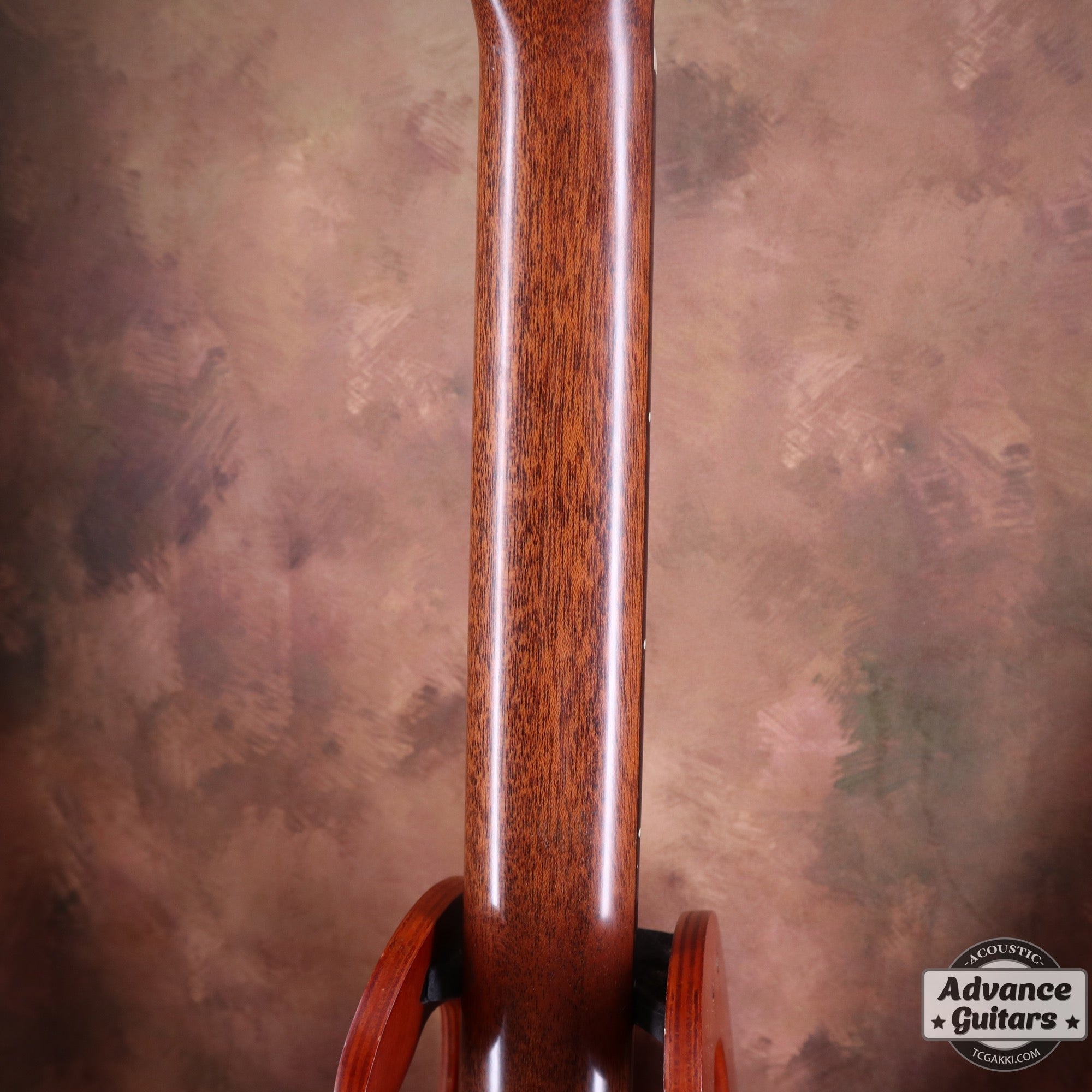 AN-WC White Spruce / Camatillo - TC楽器 - TCGAKKI
