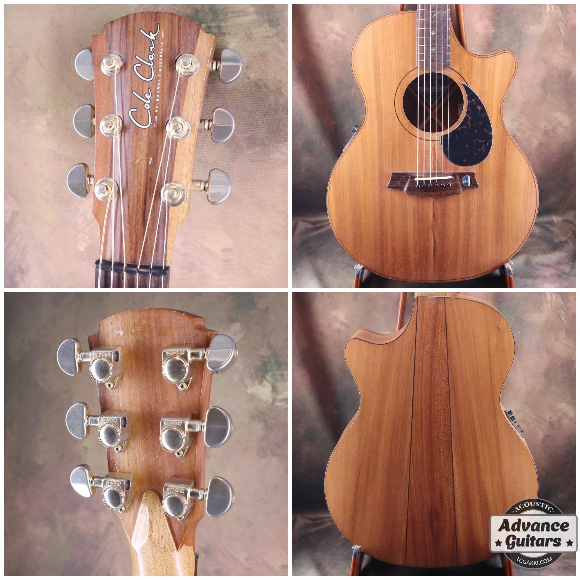 AN2EC - MMAH - TC楽器 - TCGAKKI