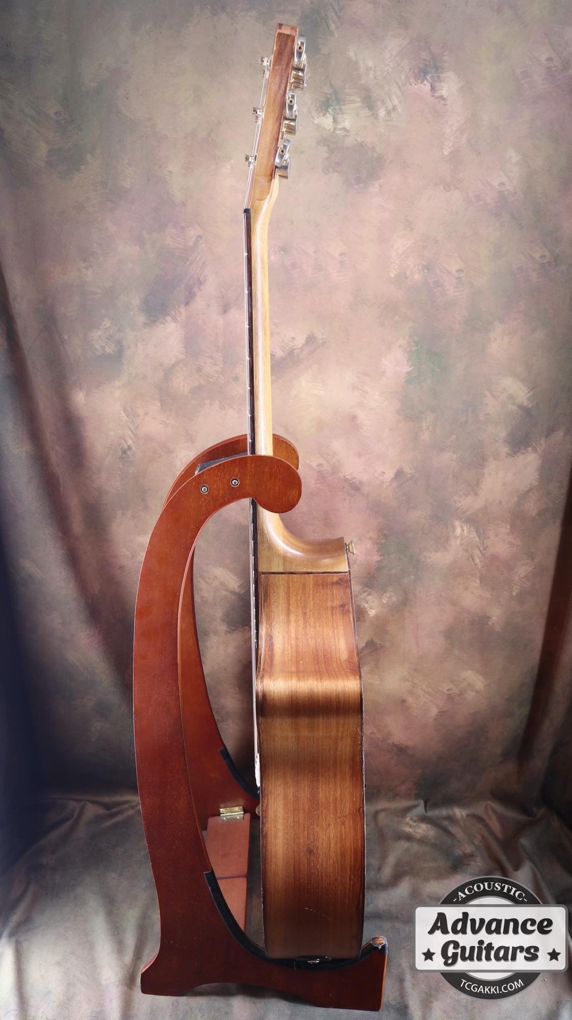 AN2EC - MMAH - TC楽器 - TCGAKKI