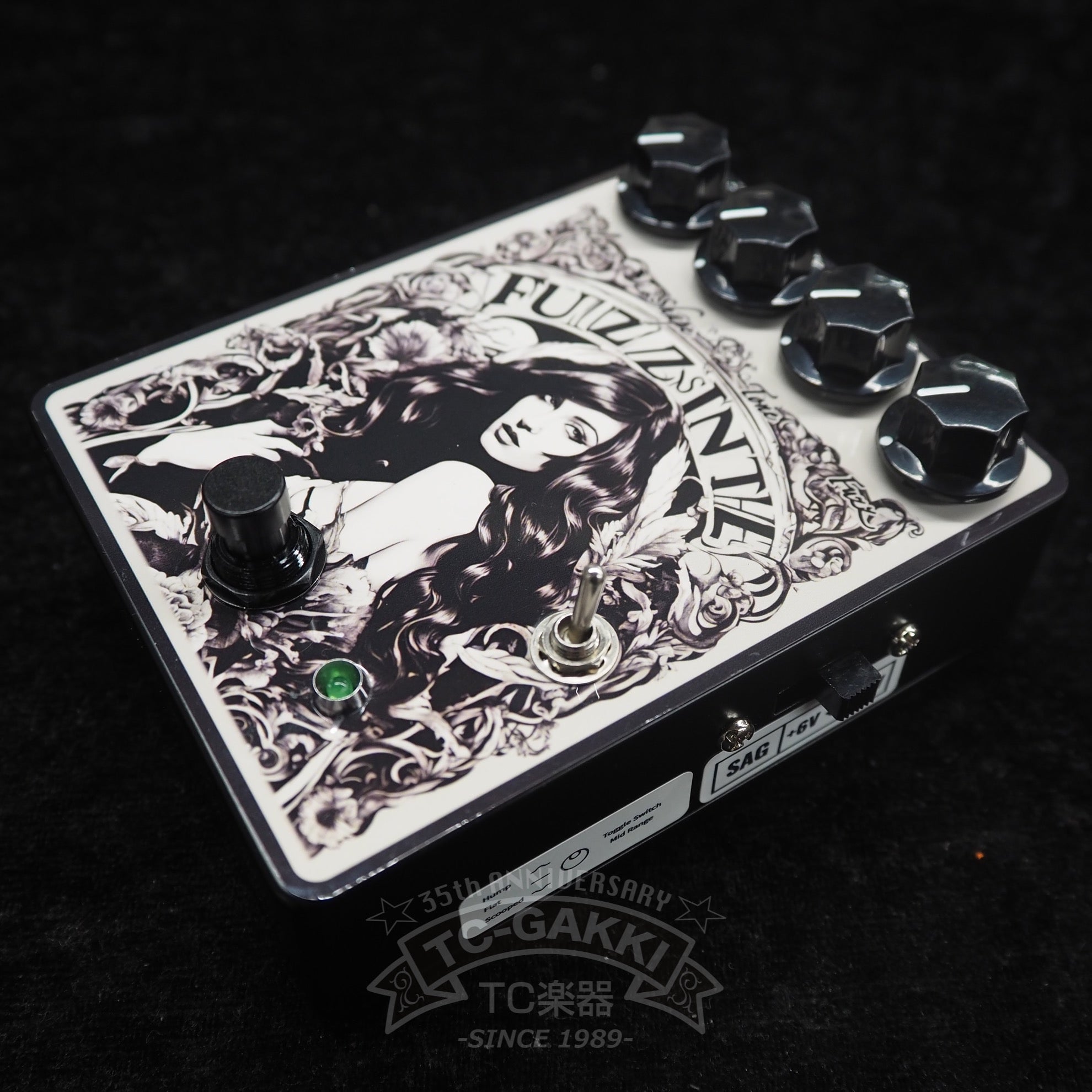 Analog White Zero FUZZSINTHE Verve - TC楽器 - TCGAKKI