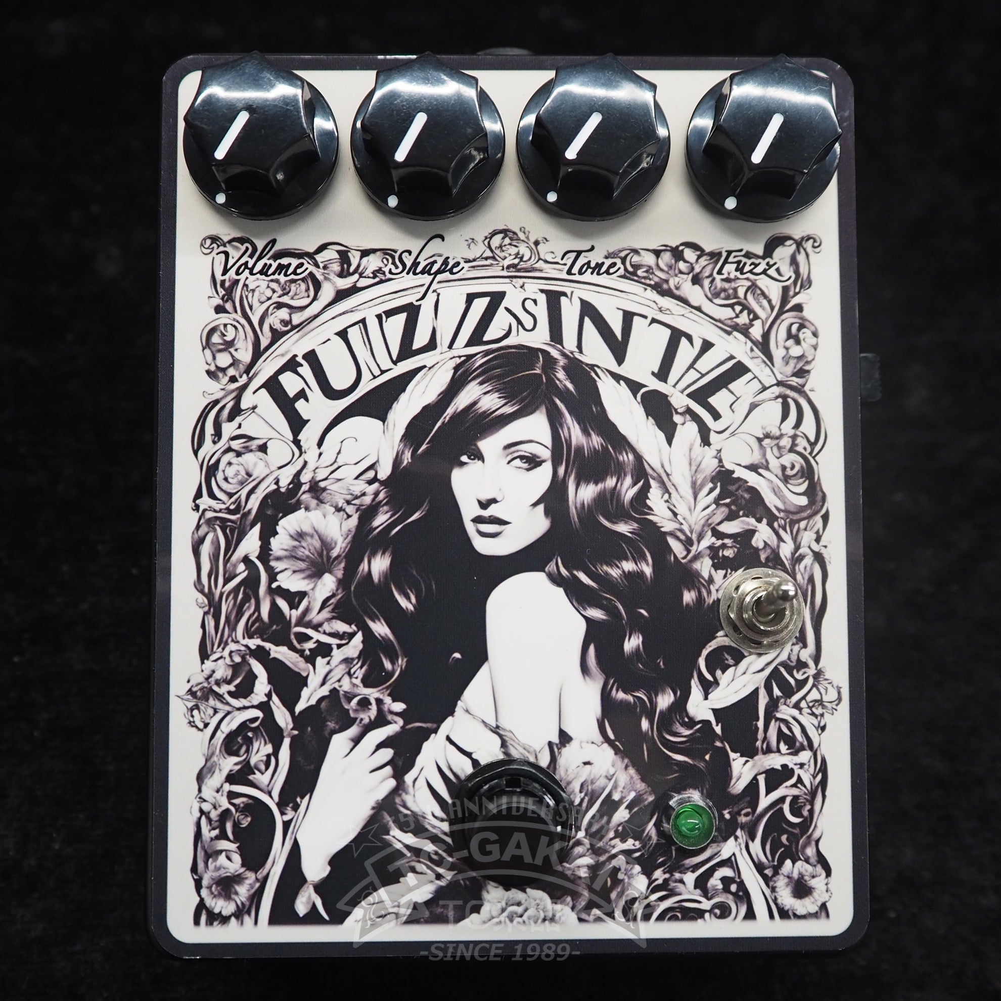 Analog White Zero FUZZSINTHE Verve - TC楽器 - TCGAKKI