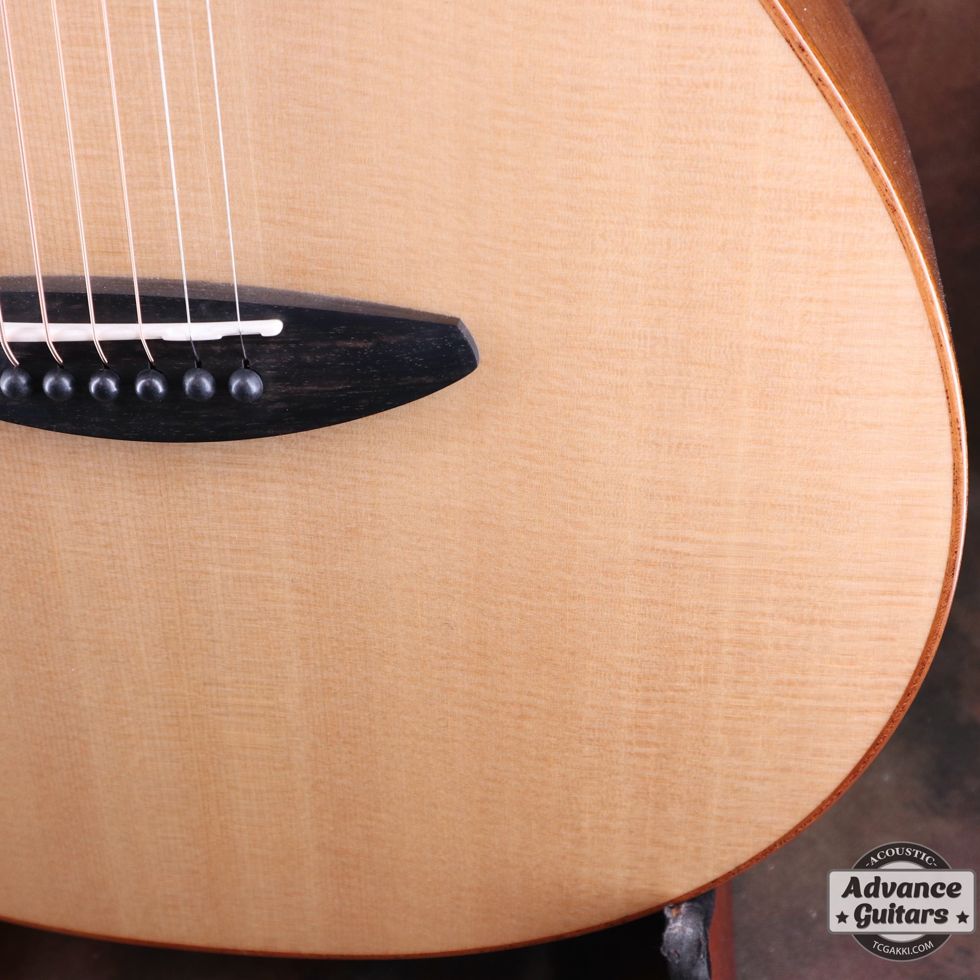 aNN-L100E【新品】 - TC楽器 - TCGAKKI