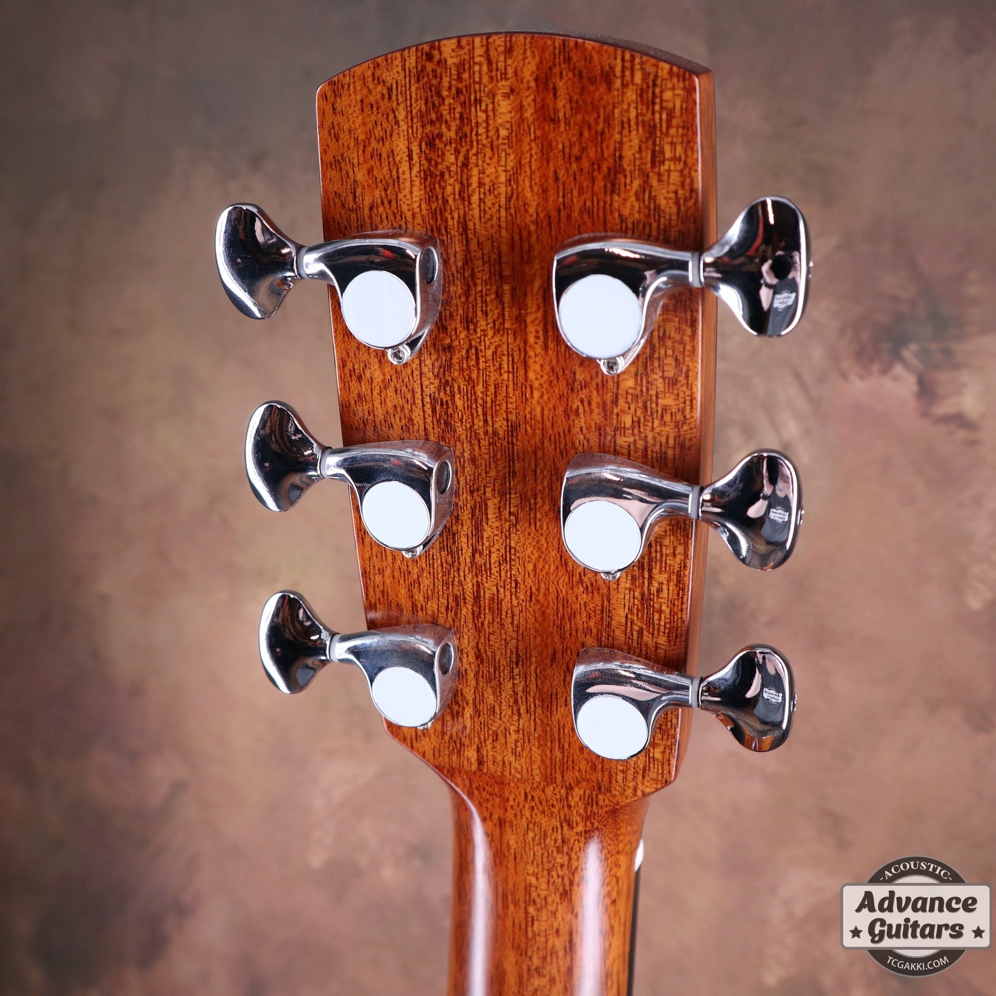 aNN-L100E【新品】 - TC楽器 - TCGAKKI