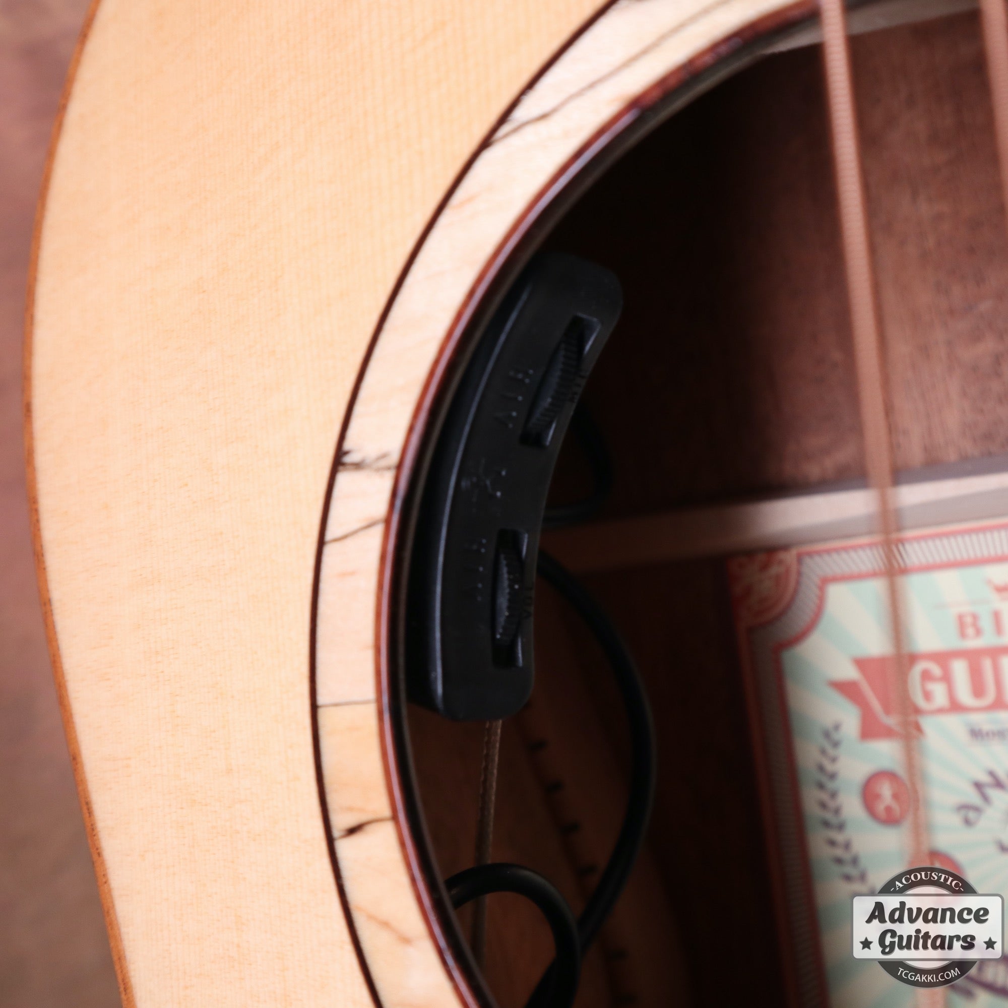 aNN-L100E【新品】 - TC楽器 - TCGAKKI