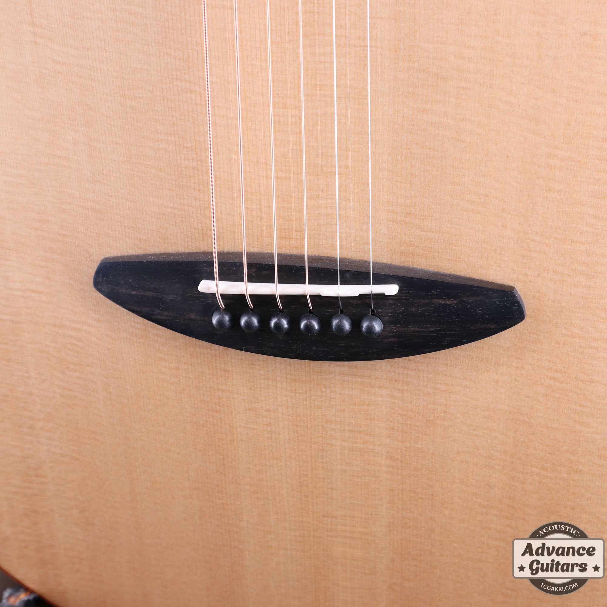 aNN-L100E【新品】 - TC楽器 - TCGAKKI