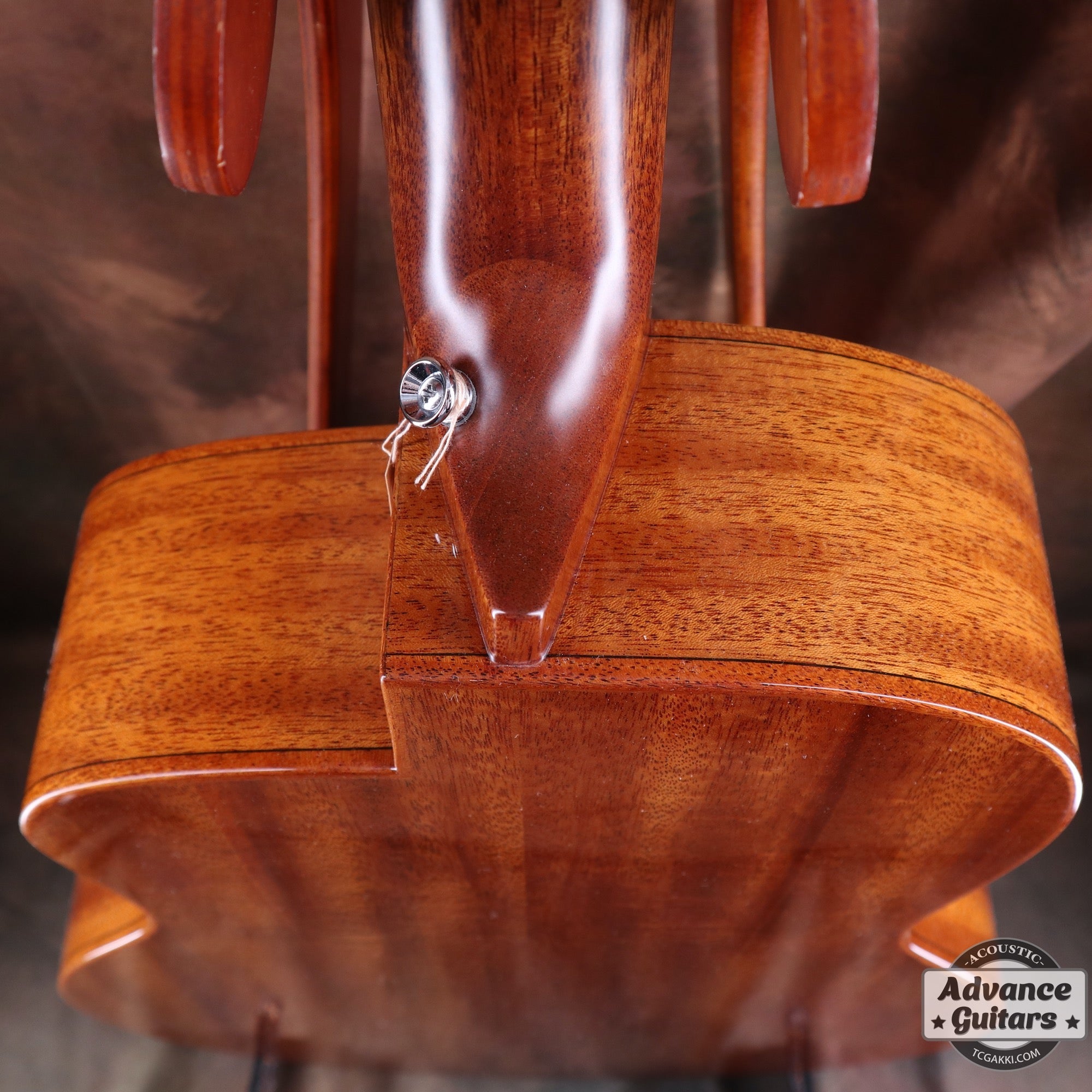 aNN-L100E【新品】 - TC楽器 - TCGAKKI