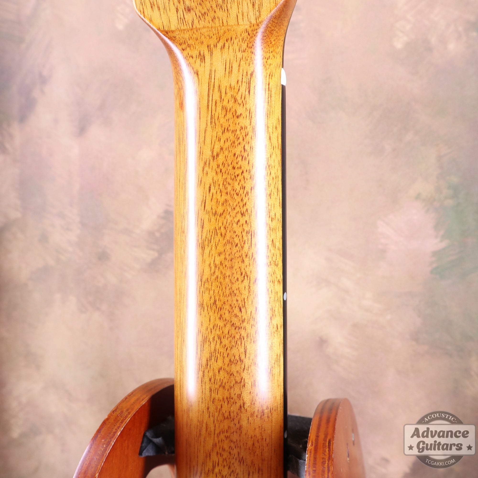 【傷有りのため特価】aNN - M60E【新品】 - TC楽器 - TCGAKKI