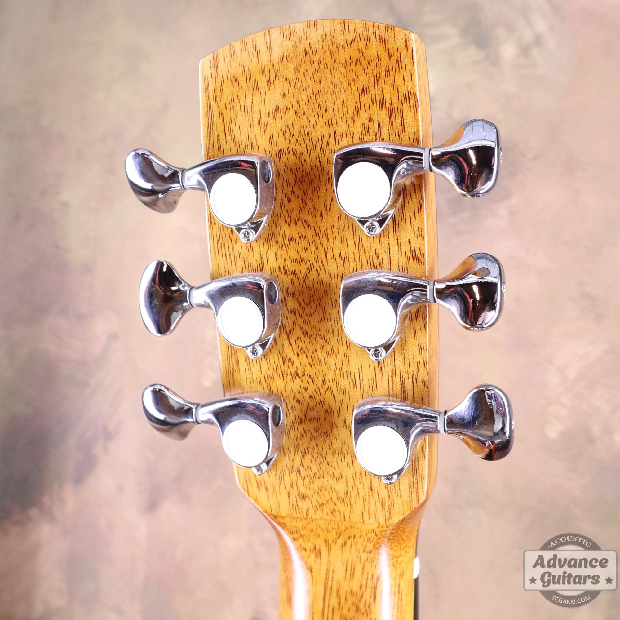 【傷有りのため特価】aNN - M60E【新品】 - TC楽器 - TCGAKKI