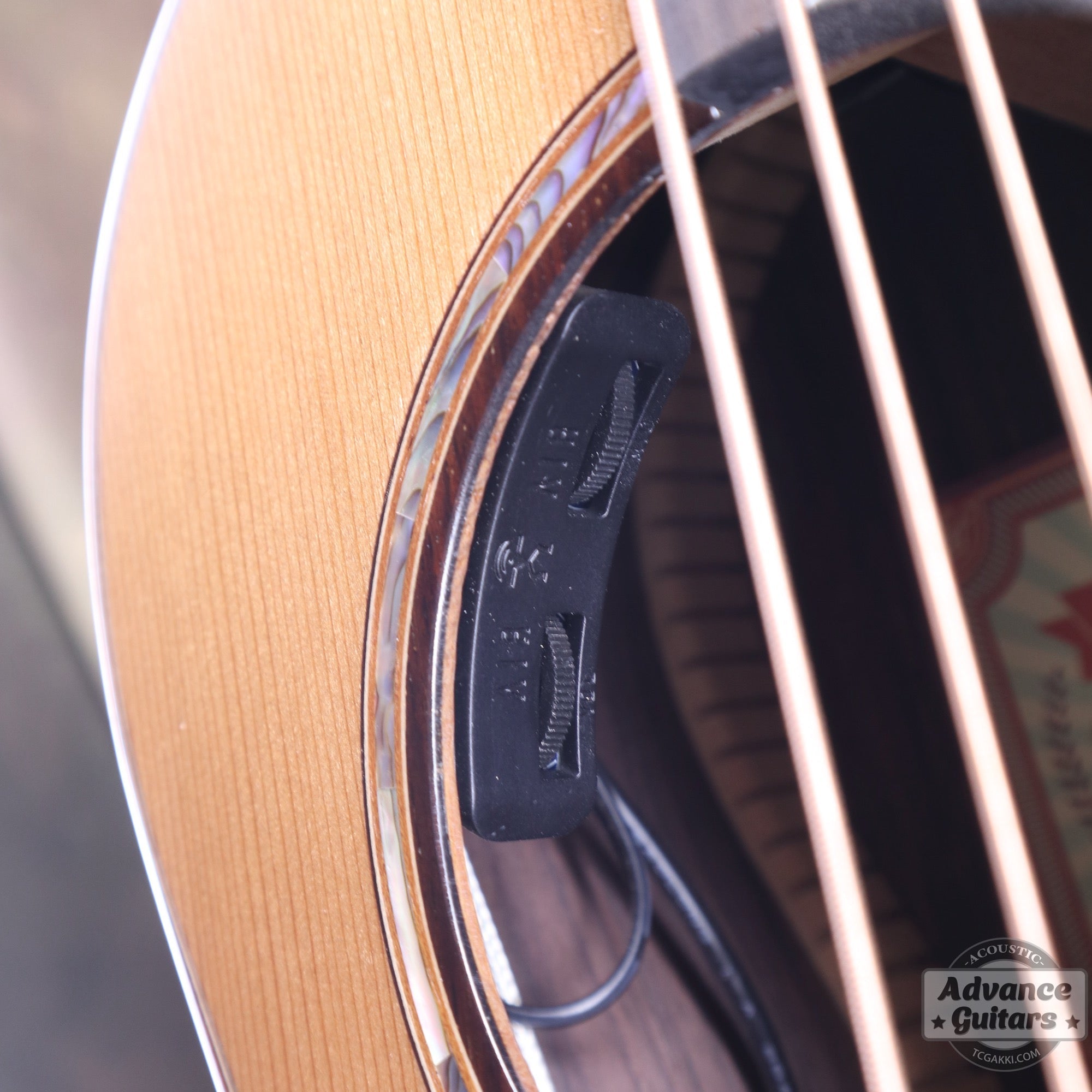 【傷有りのため特価】aNN - M60E【新品】 - TC楽器 - TCGAKKI