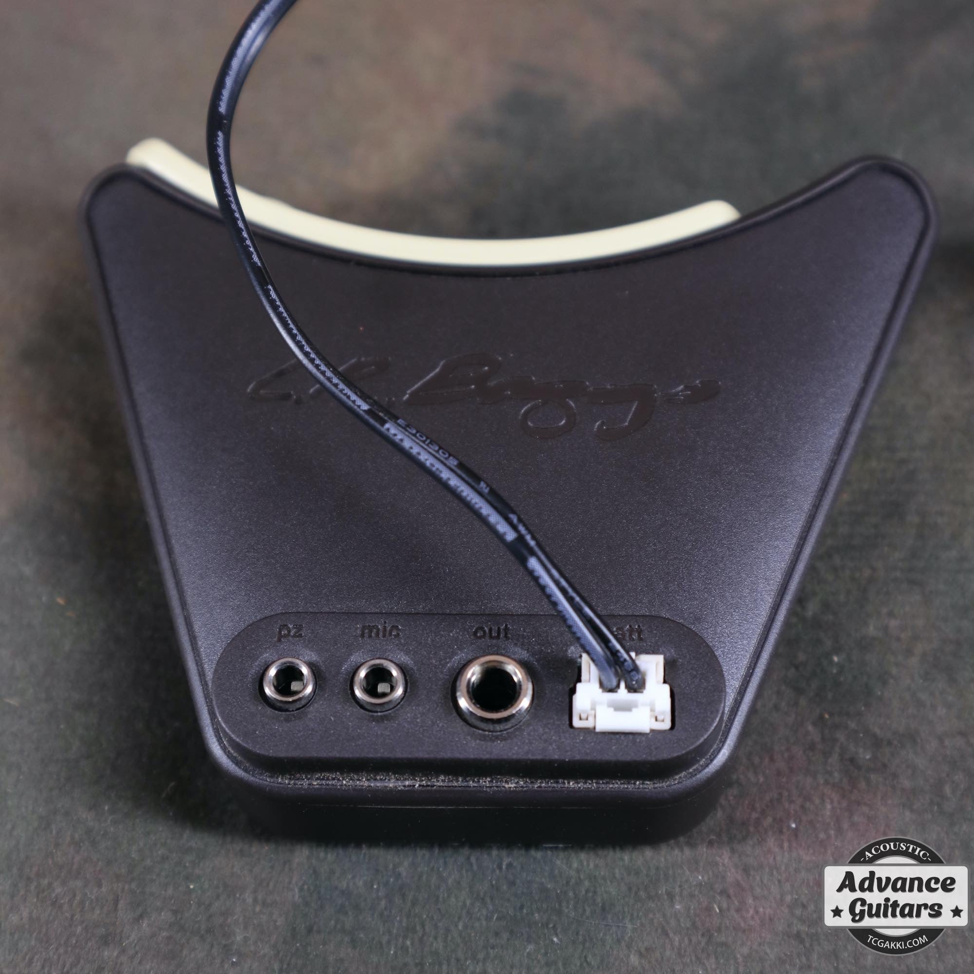 Anthem - TC楽器 - TCGAKKI