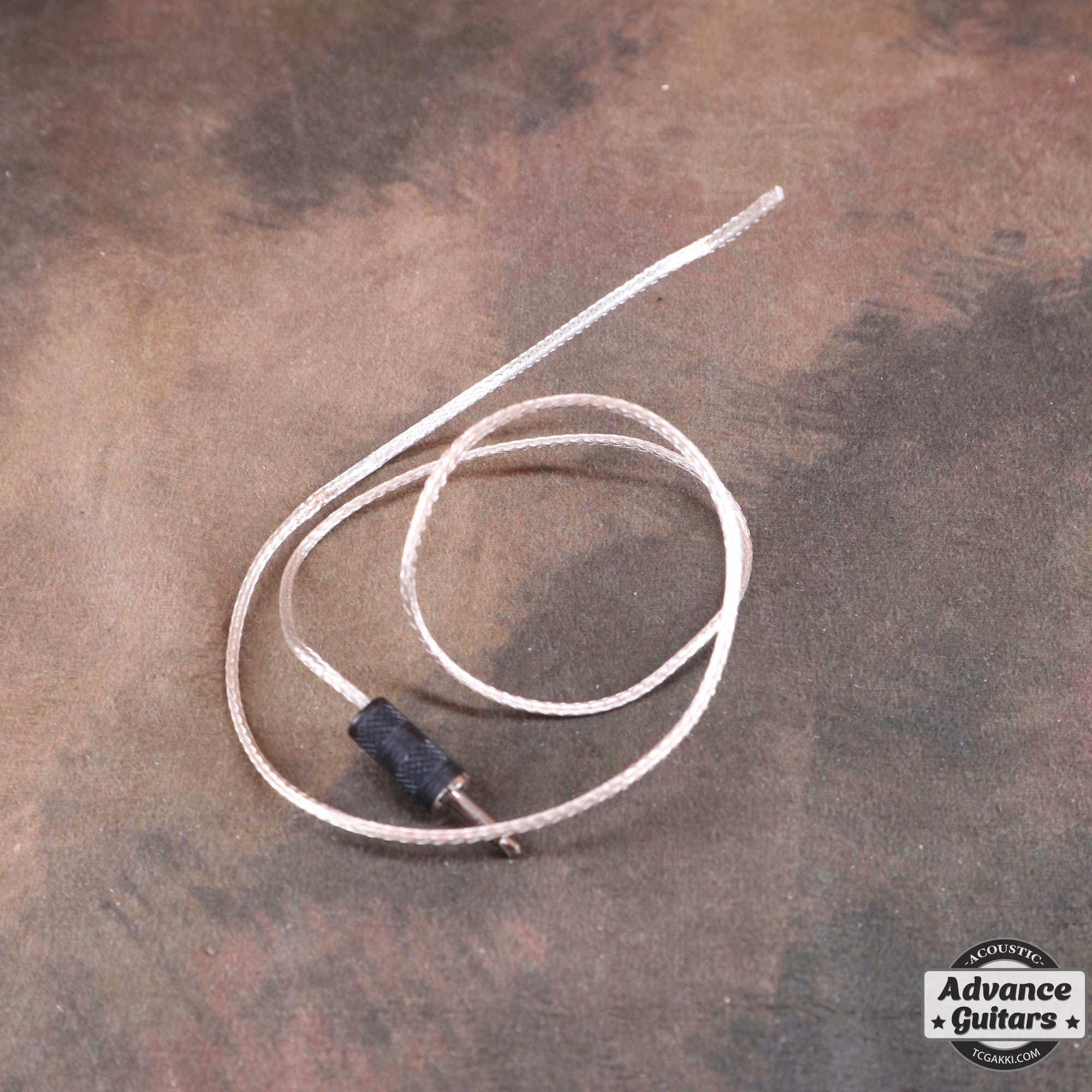 Anthem - TC楽器 - TCGAKKI