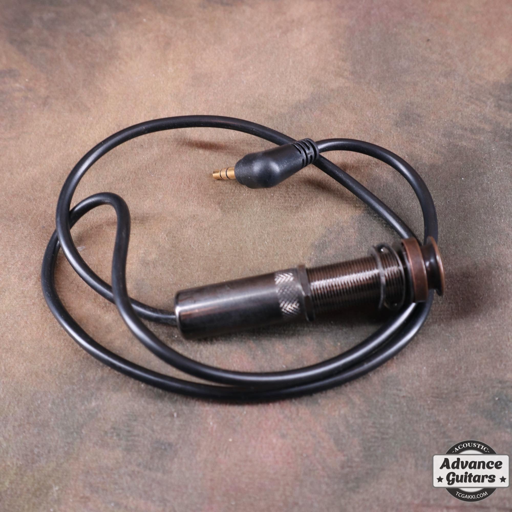 Anthem - TC楽器 - TCGAKKI