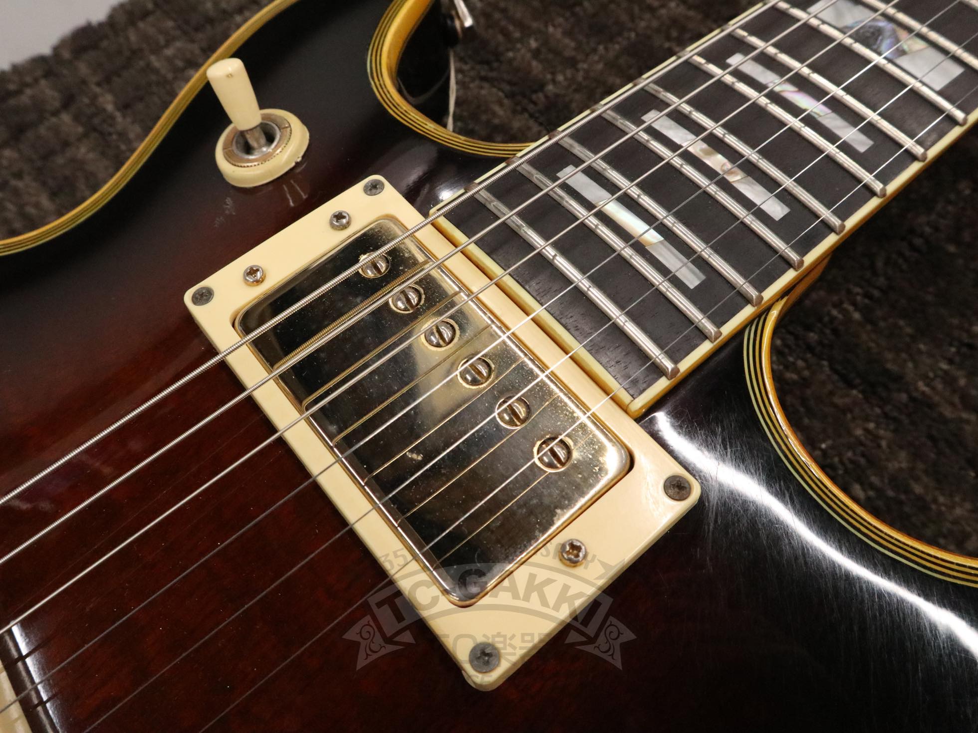 AR305 - TC楽器 - TCGAKKI