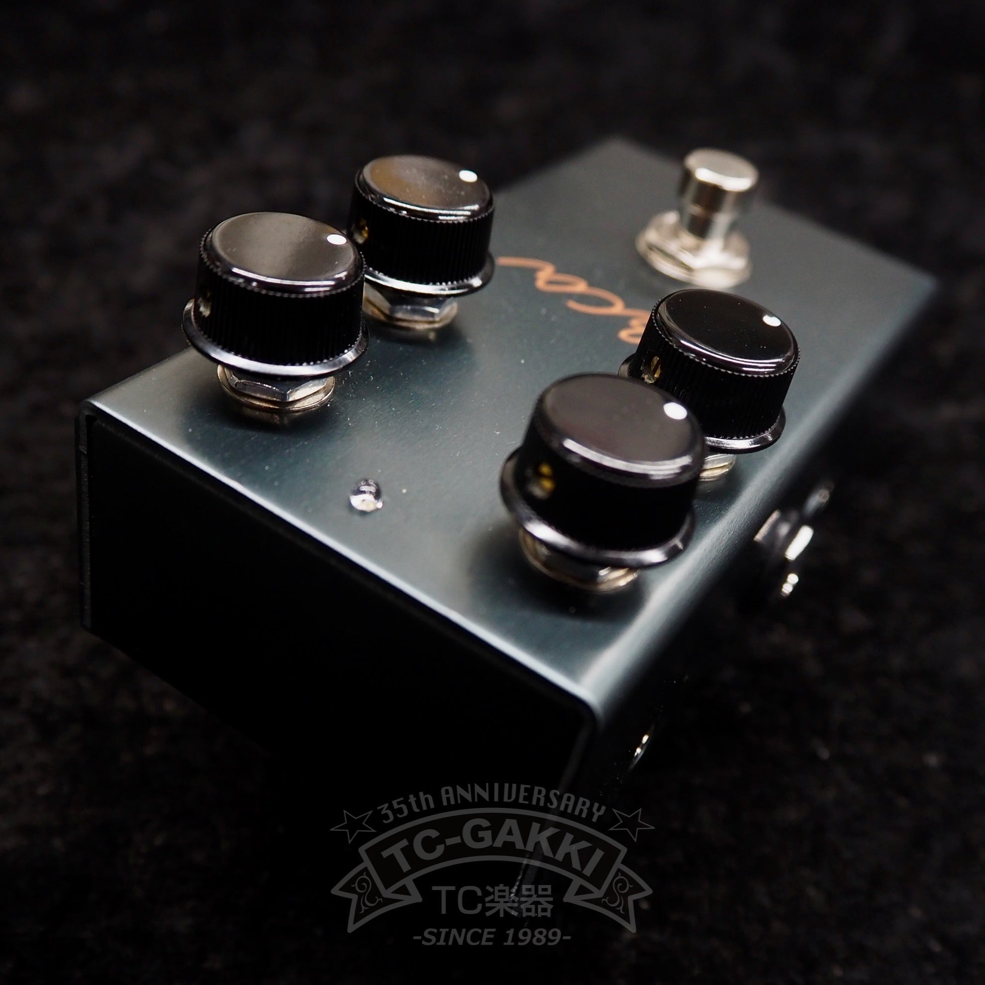 arca - TC楽器 - TCGAKKI