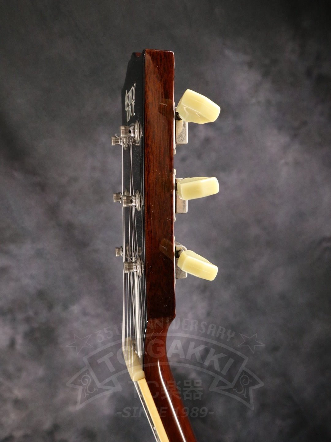 Archtop Tribute AT102CL - TC楽器 - TCGAKKI