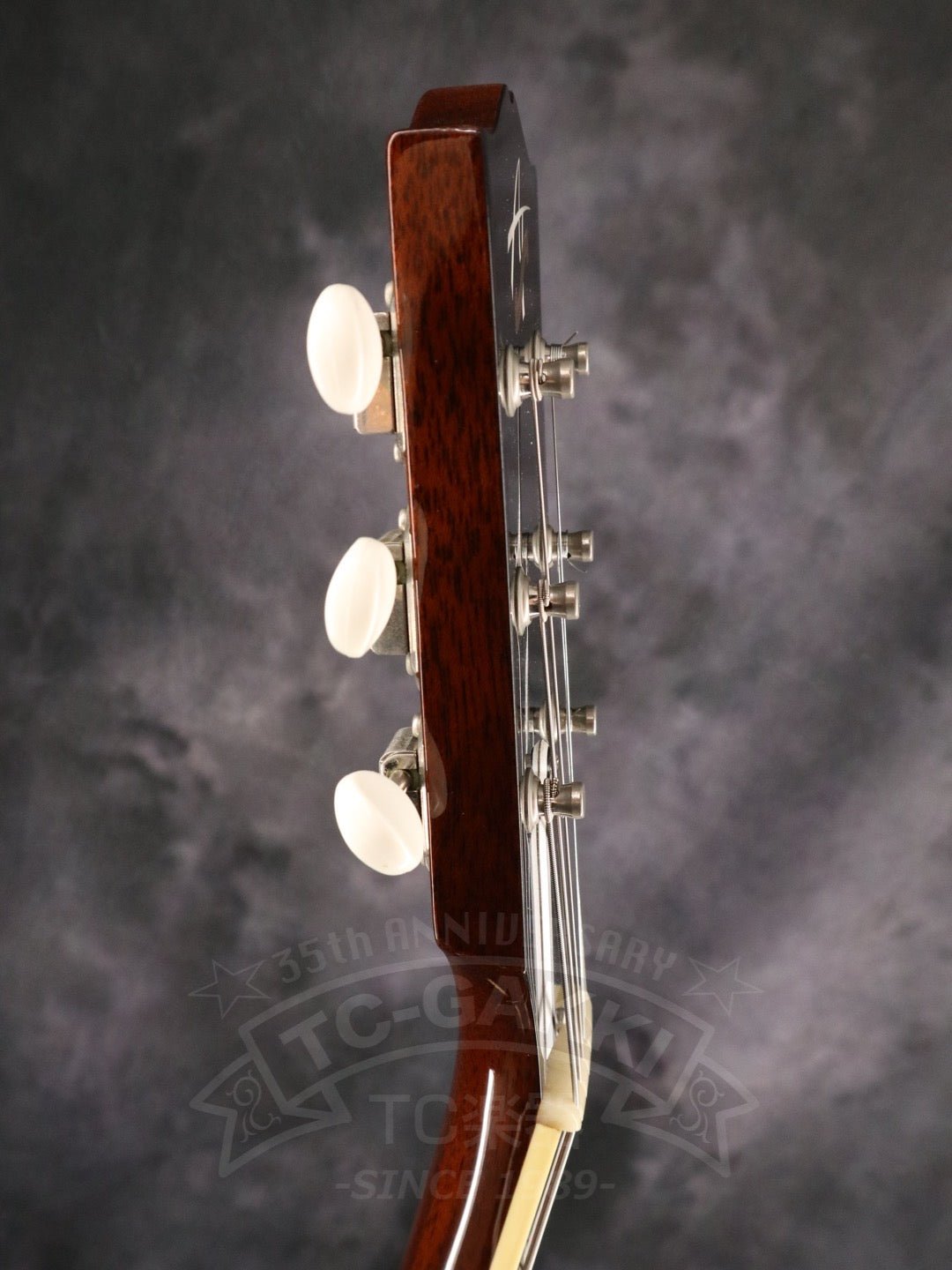 Archtop Tribute AT130 - TC楽器 - TCGAKKI