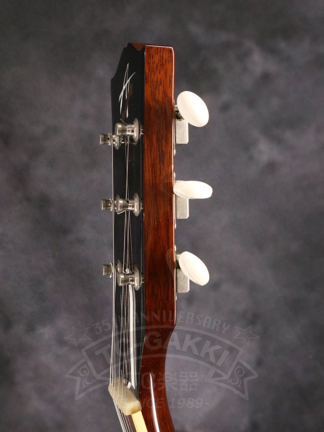 Archtop Tribute AT130 - TC楽器 - TCGAKKI