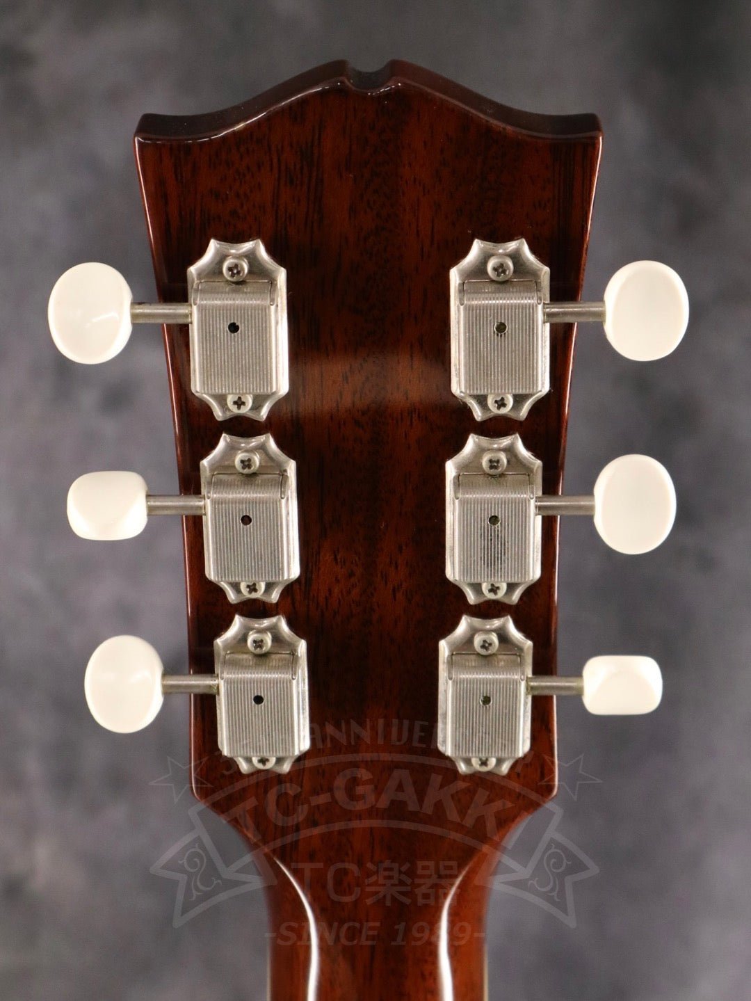 Archtop Tribute AT130 - TC楽器 - TCGAKKI