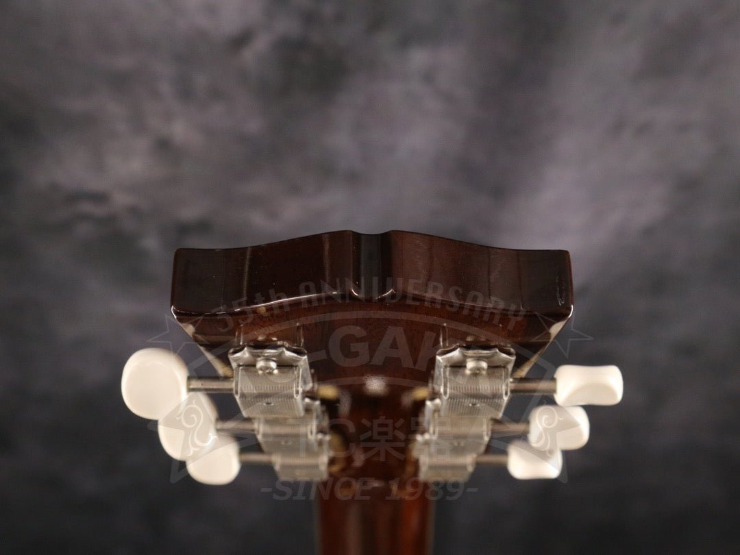 Archtop Tribute AT130 - TC楽器 - TCGAKKI