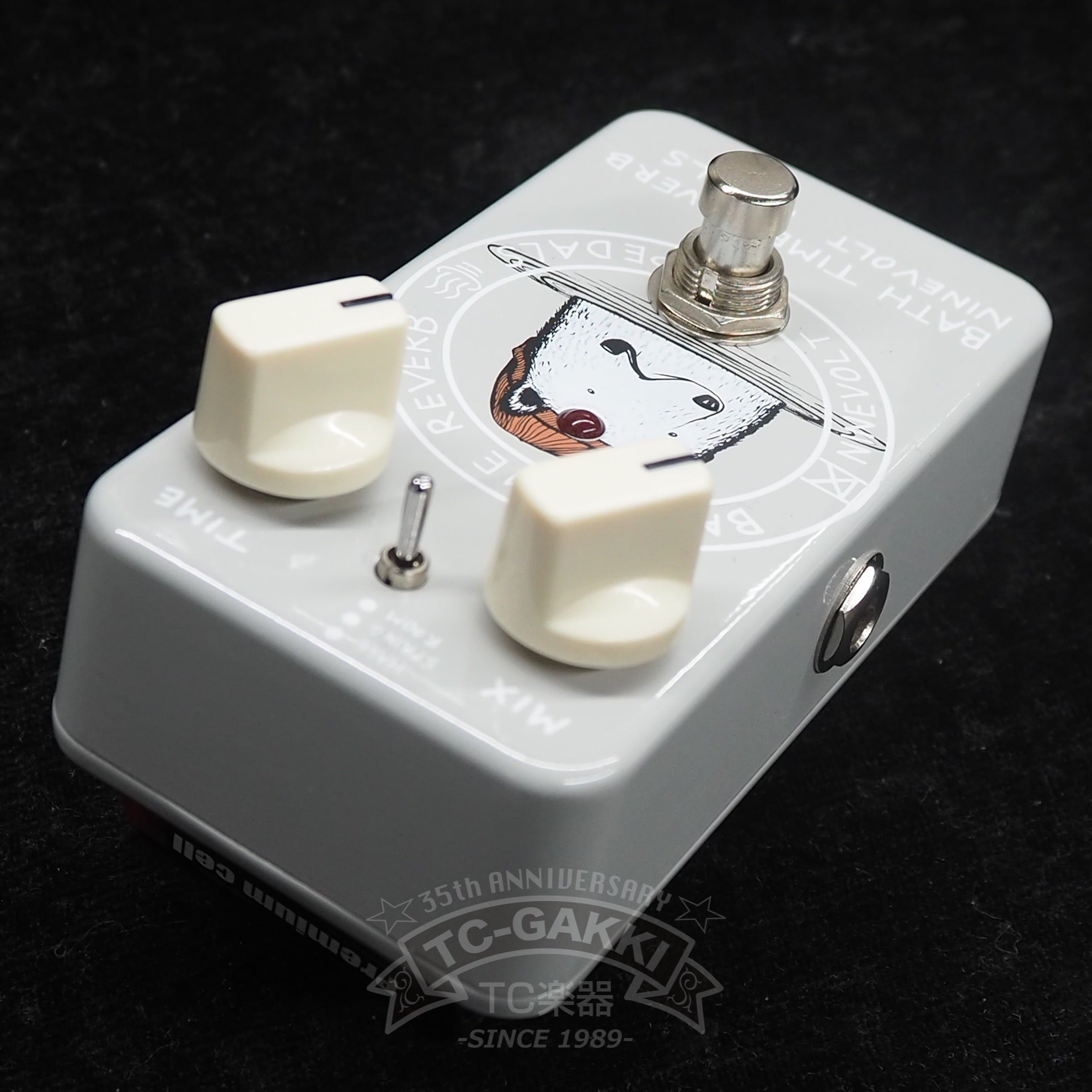 BATH TIME REVERB - TC楽器 - TCGAKKI