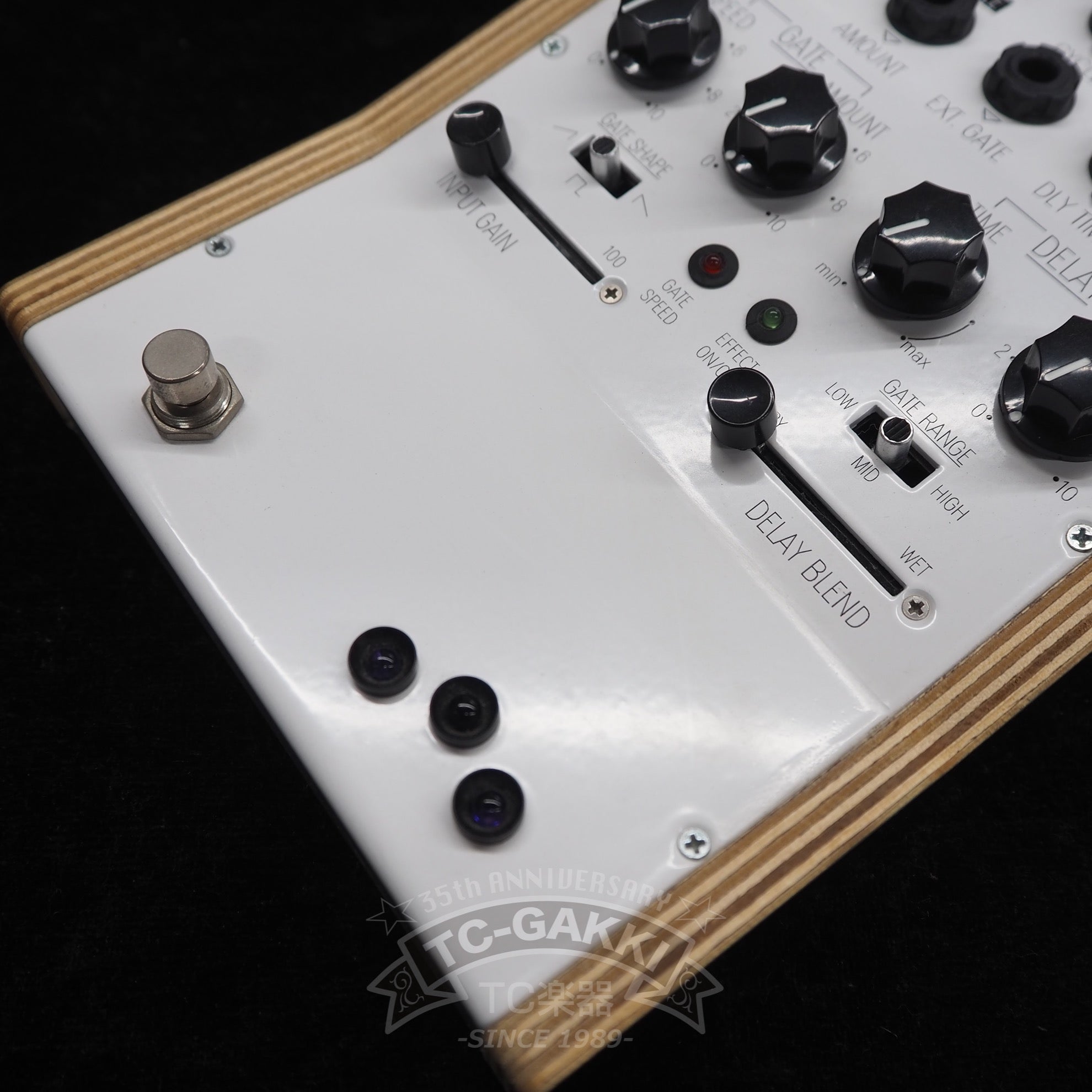 BD101 Analog Gate/Delay (incl. Internal Low Pass Filter) - TC楽器 - TCGAKKI