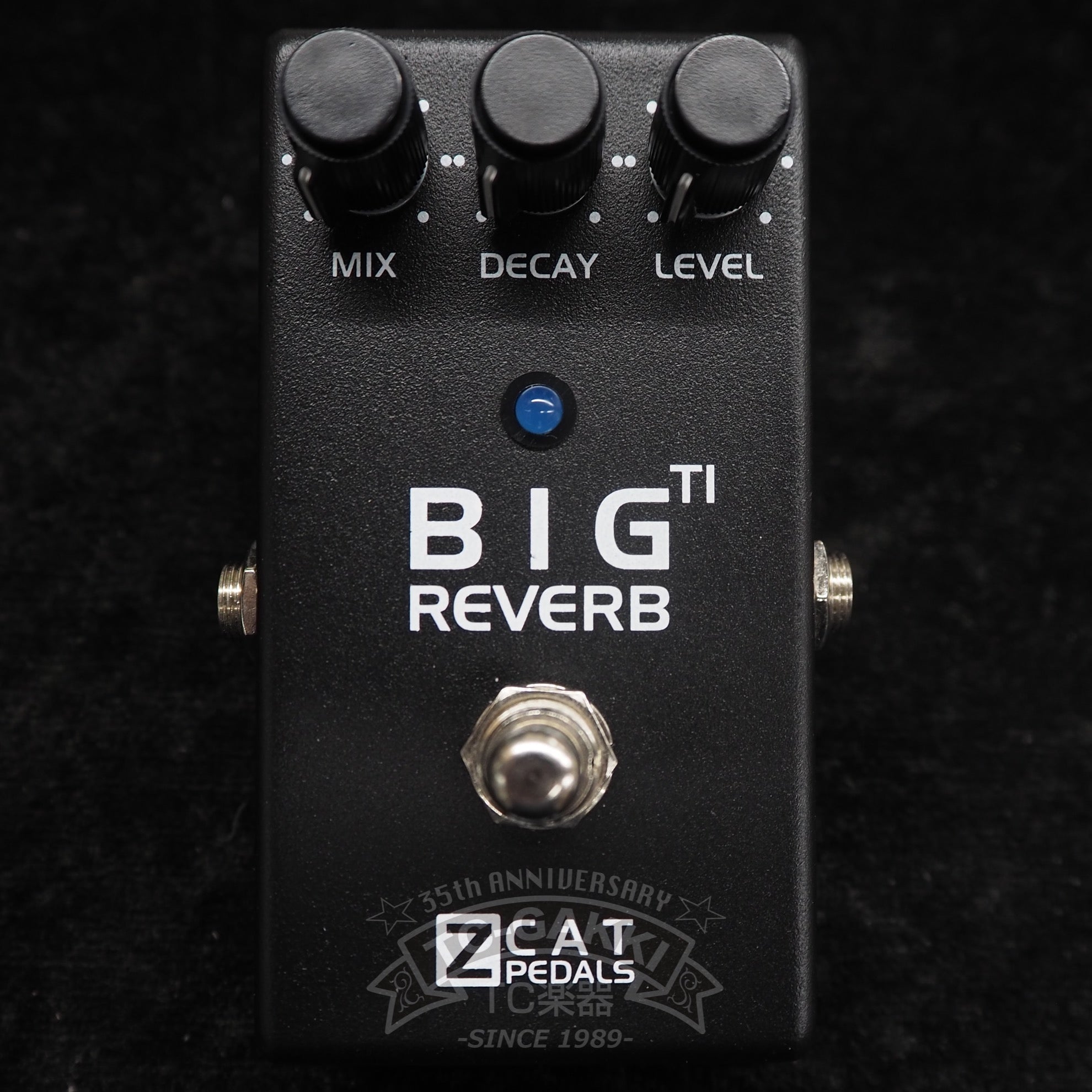 Big Reverb TI - TC楽器 - TCGAKKI