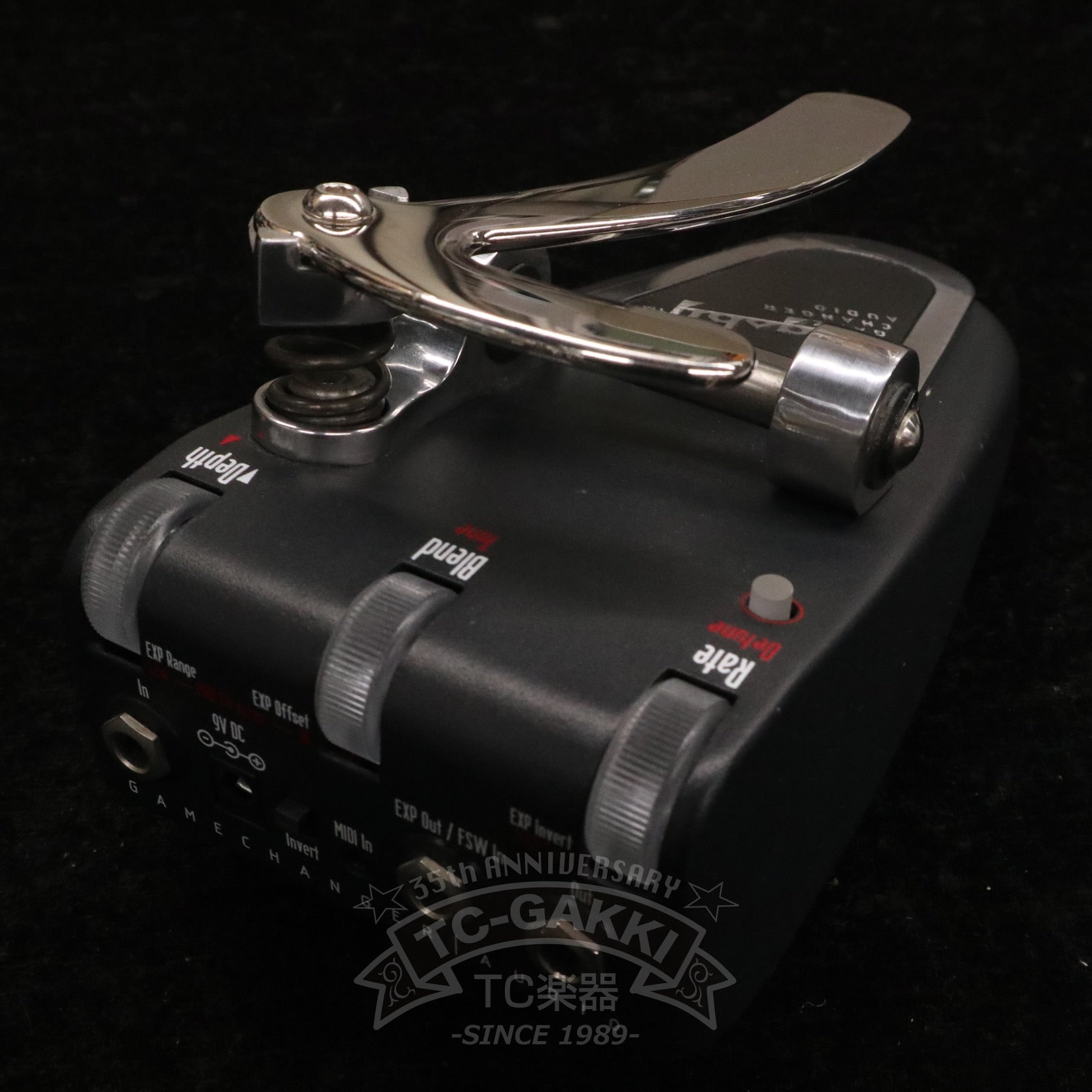 Bigsby Pedal - TC楽器 - TCGAKKI