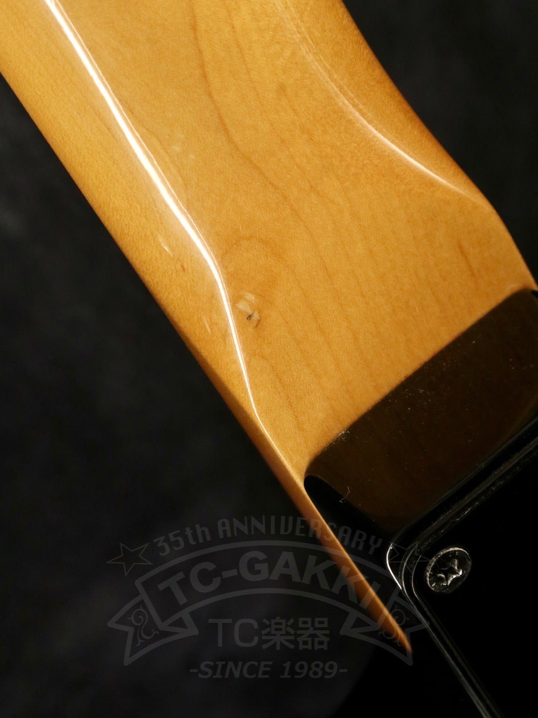 BL1 - TC楽器 - TCGAKKI