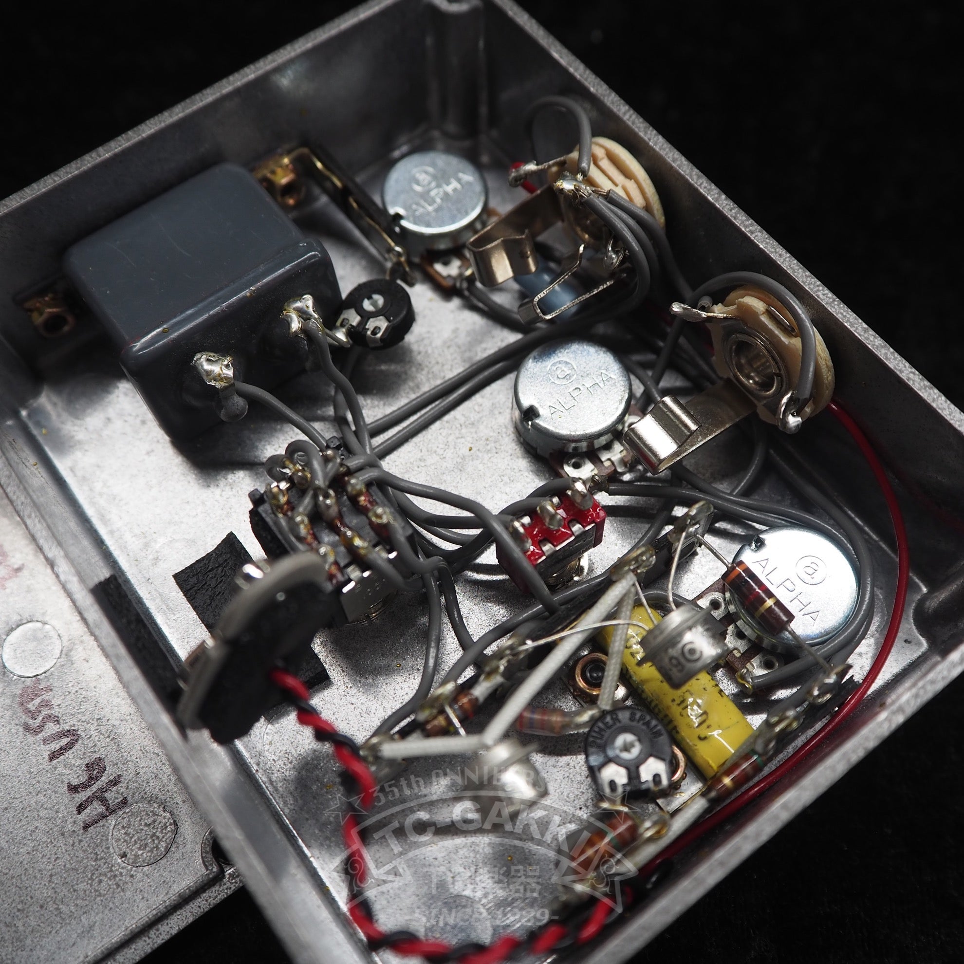 Black IPA Fuzz - TC楽器 - TCGAKKI