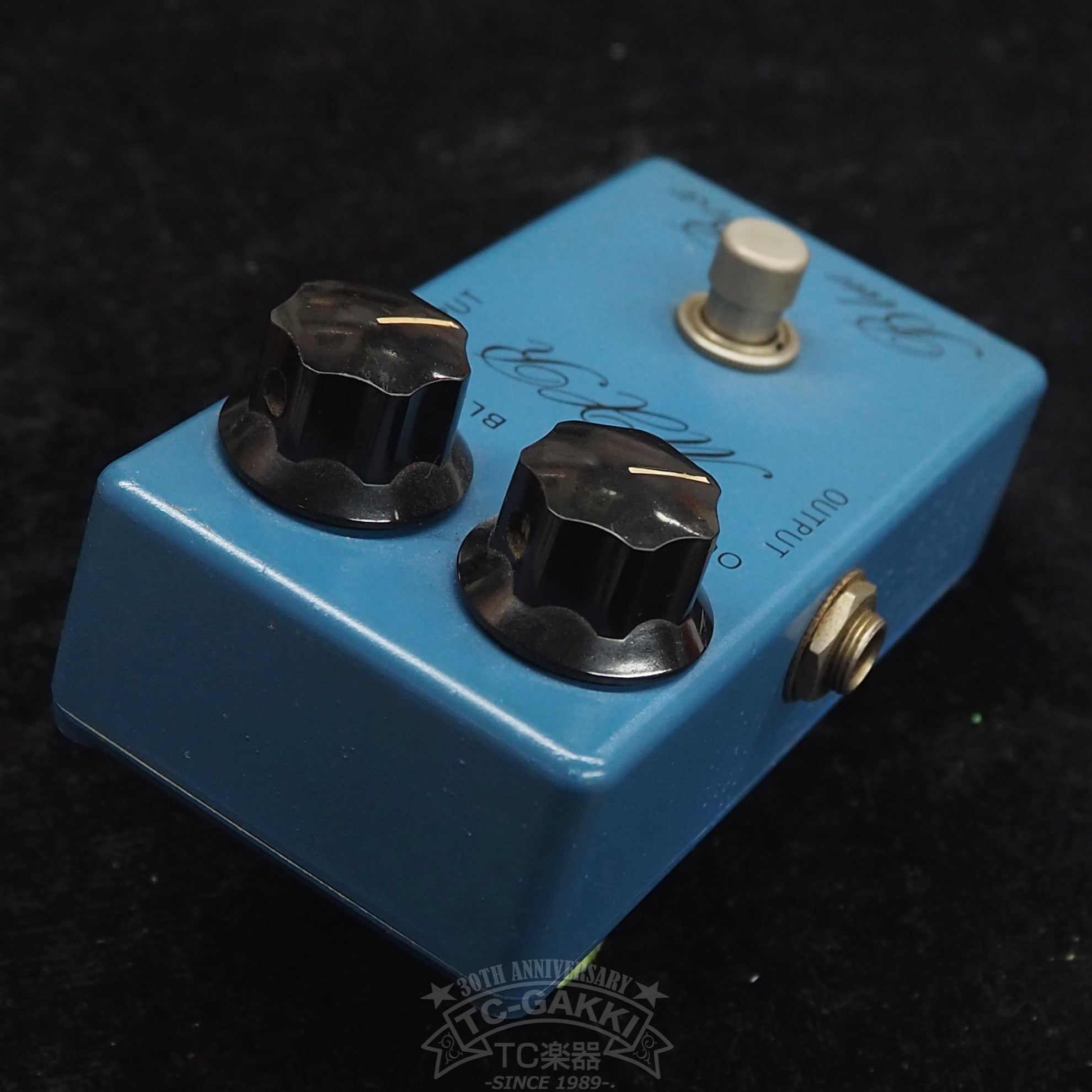 Blue Box (Script Logo) - TC楽器 - TCGAKKI