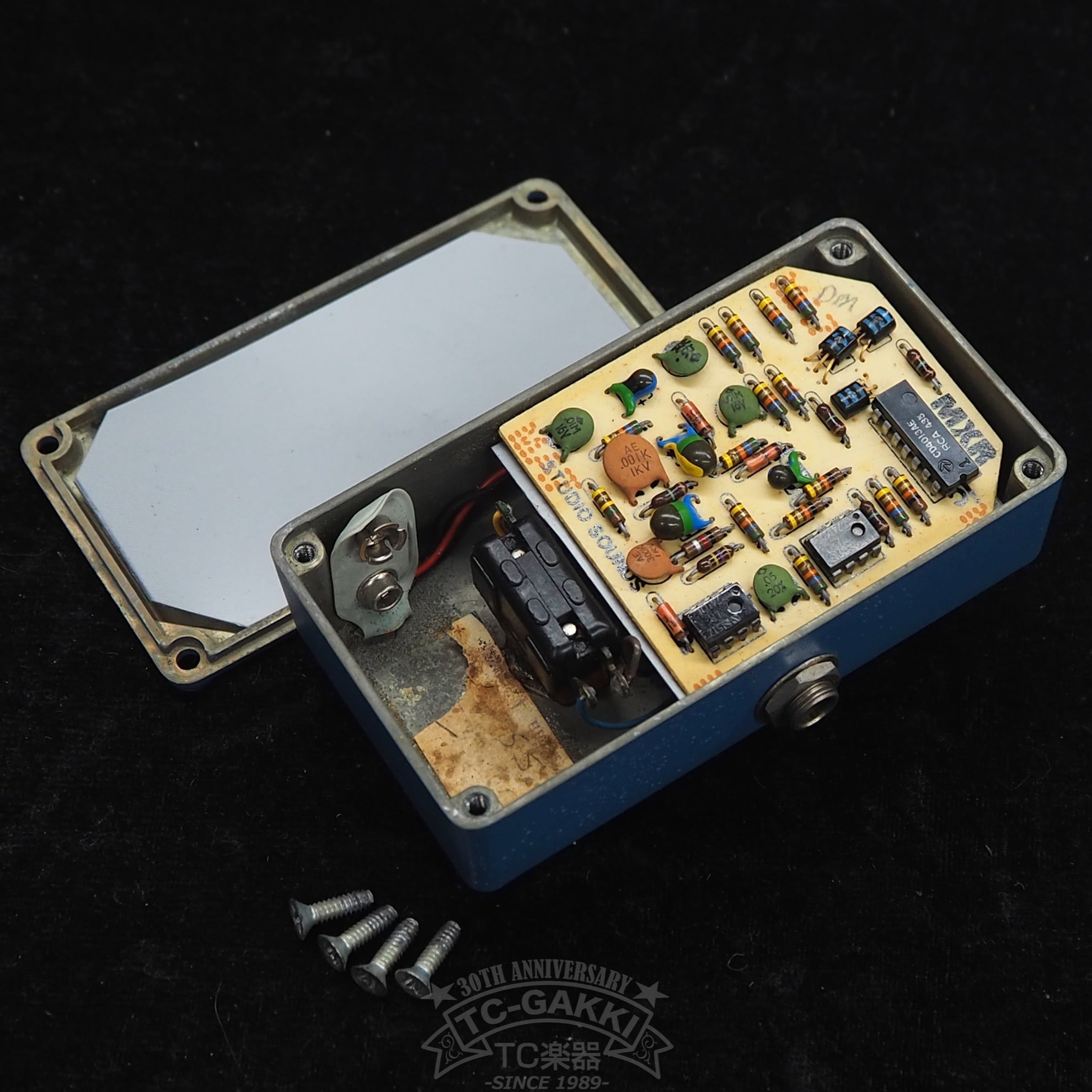 Blue Box (Script Logo) - TC楽器 - TCGAKKI