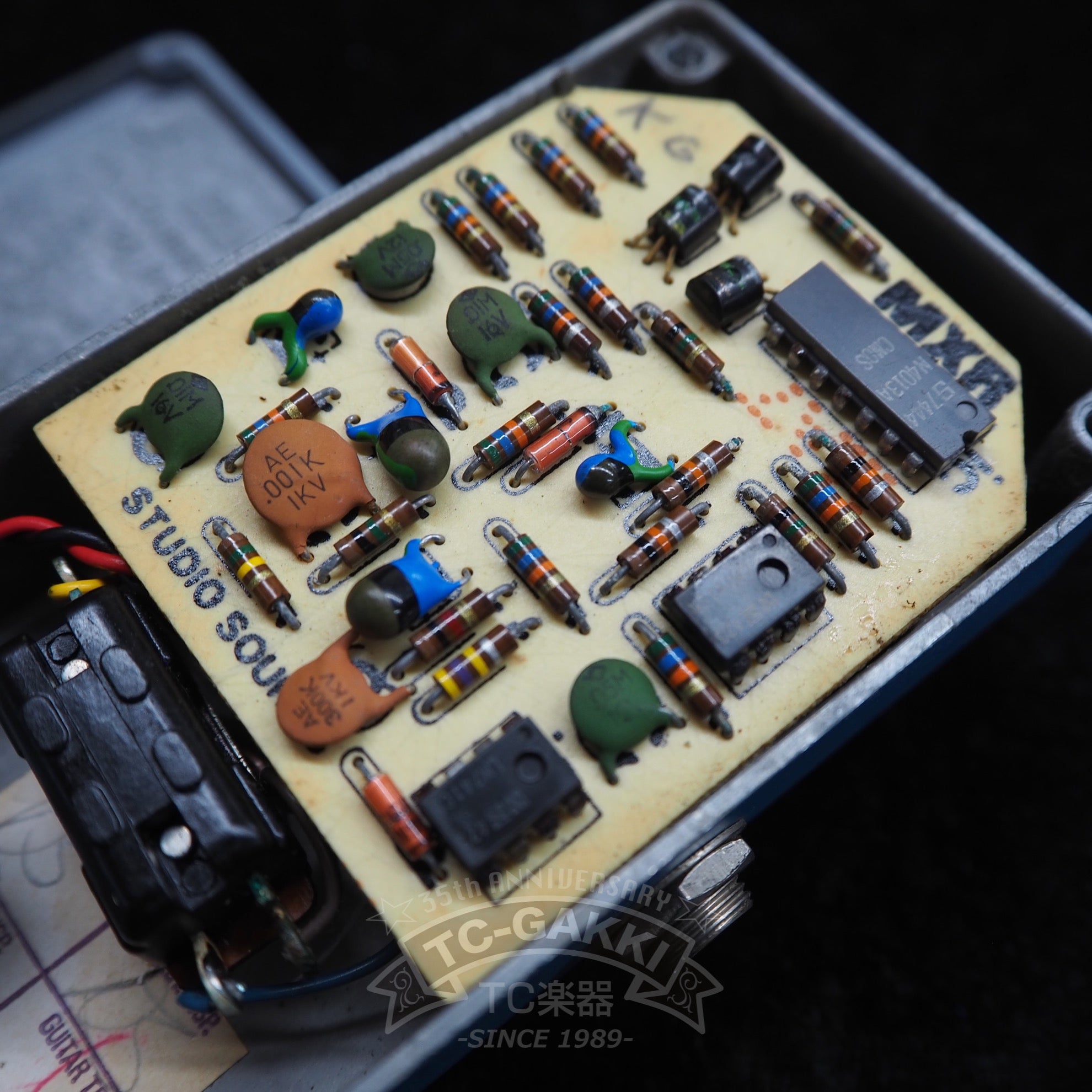 Blue Box (Script Logo/BUD Case) - TC楽器 - TCGAKKI