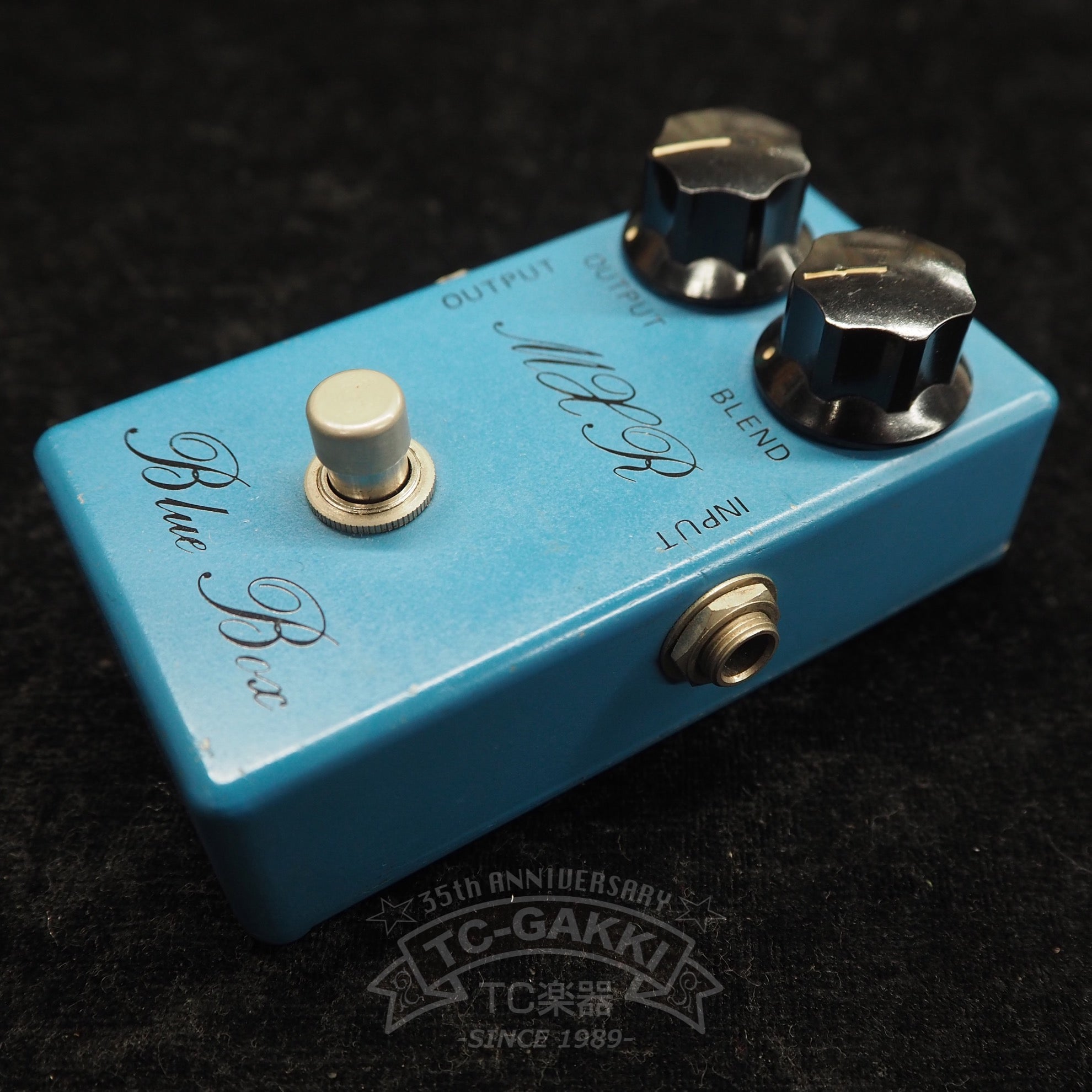 Blue Box (Script Logo/BUD Case) - TC楽器 - TCGAKKI