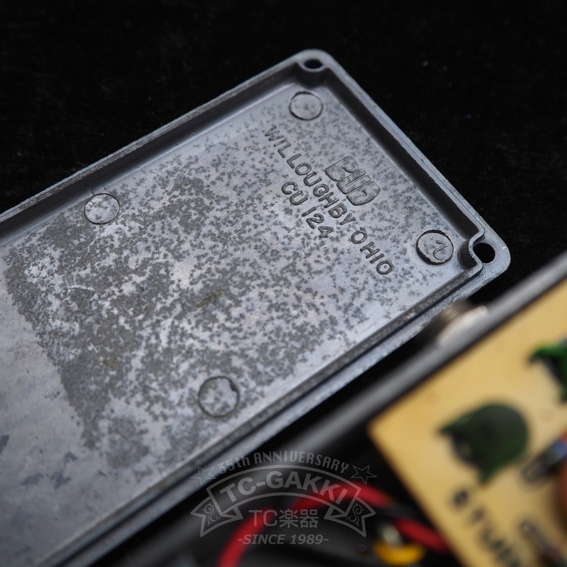 Blue Box (Script Logo/BUD Case) - TC楽器 - TCGAKKI