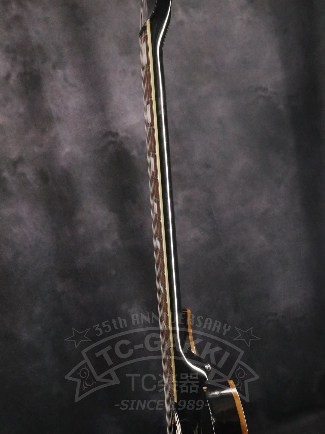 BRAON - TC楽器 - TCGAKKI