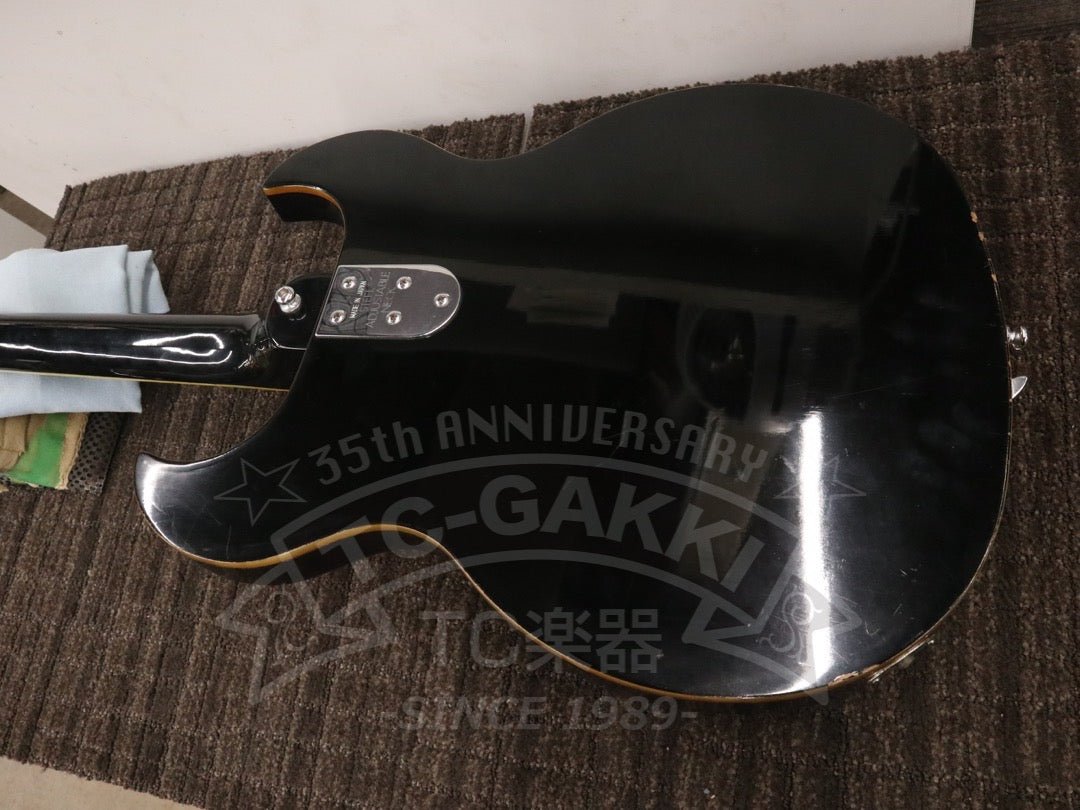 BRAON - TC楽器 - TCGAKKI