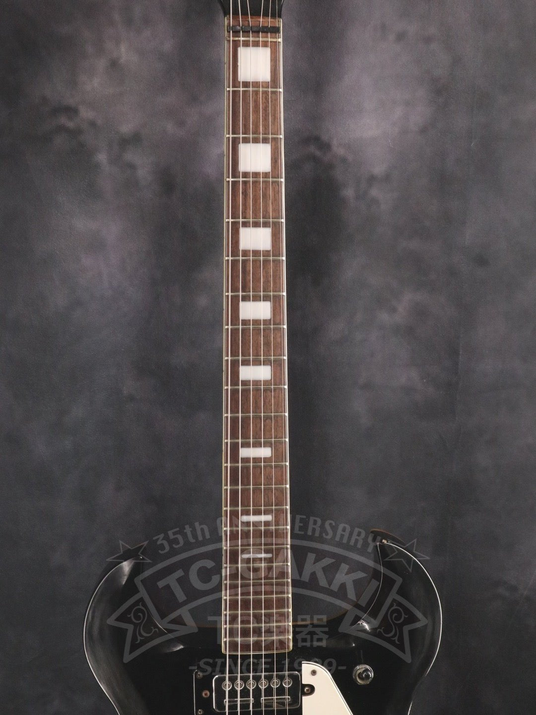 BRAON - TC楽器 - TCGAKKI