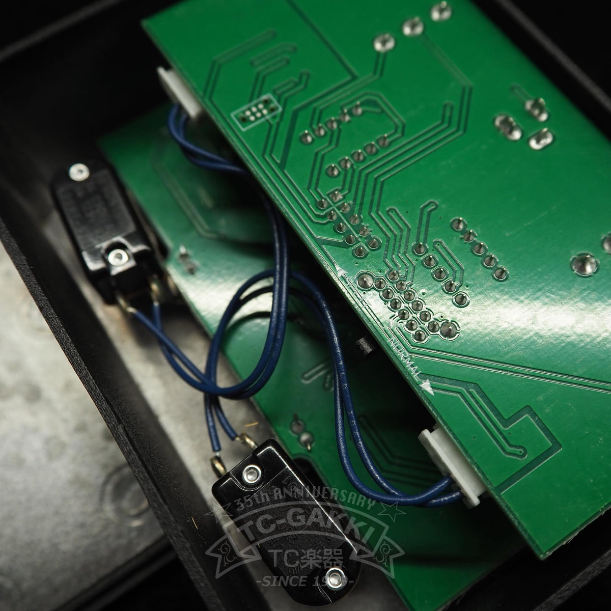 Browne AMPLIFICATION PROTEIN 3.0 - TC楽器 - TCGAKKI