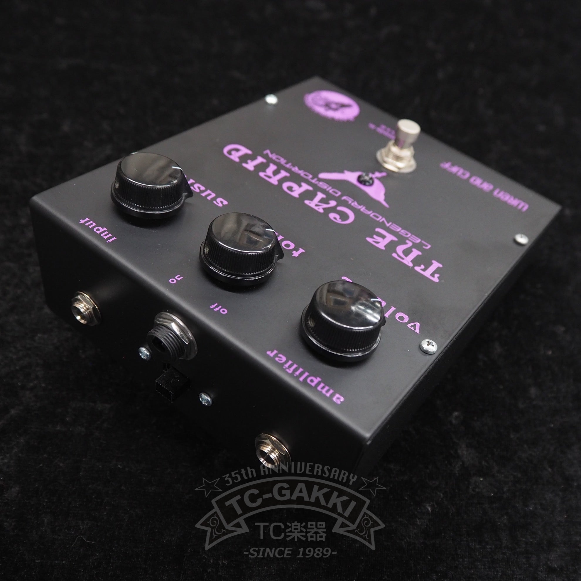 Caprid Black Violet Special Edition - TC楽器 - TCGAKKI