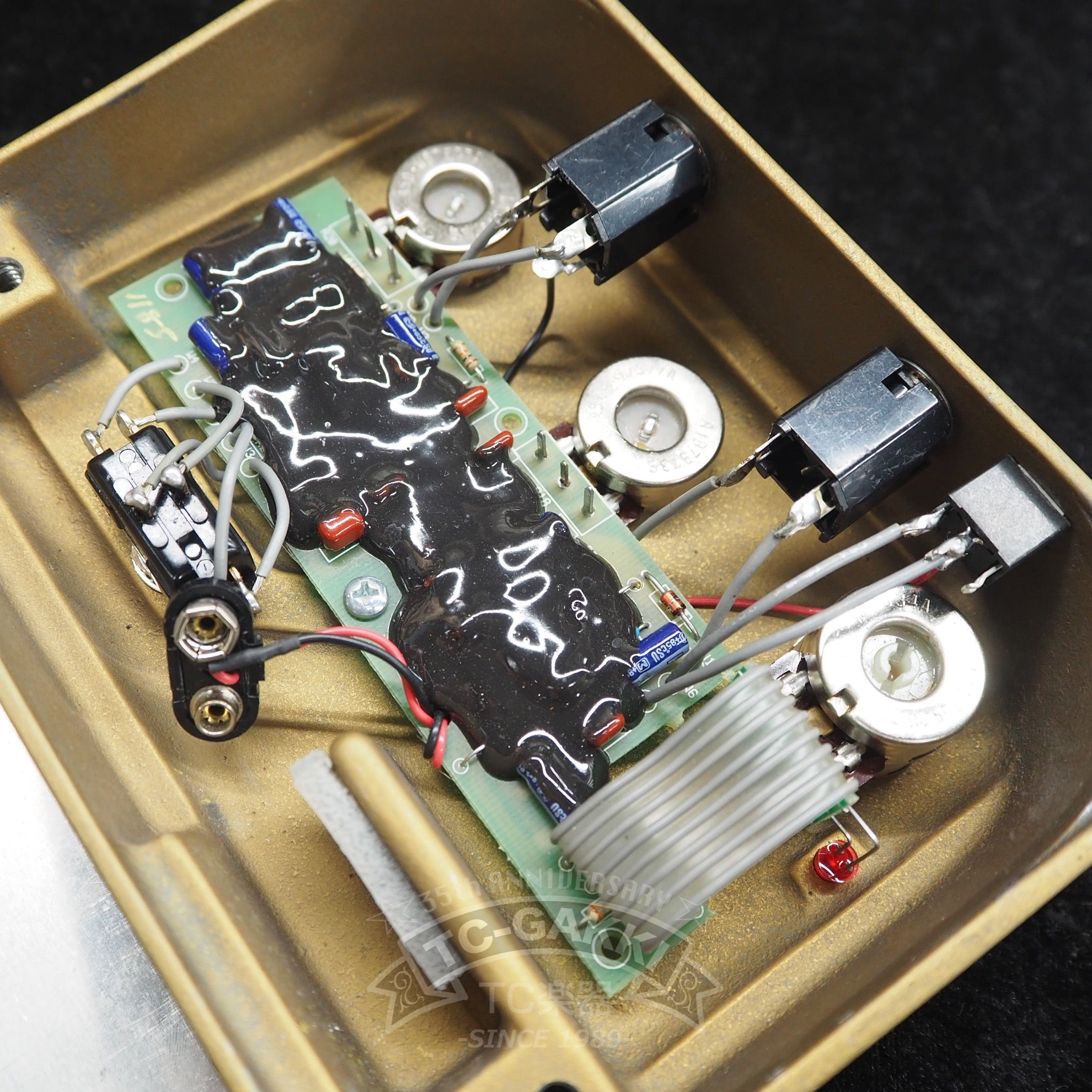 CENTAUR (Gold/Long - Tail) - TC楽器 - TCGAKKI