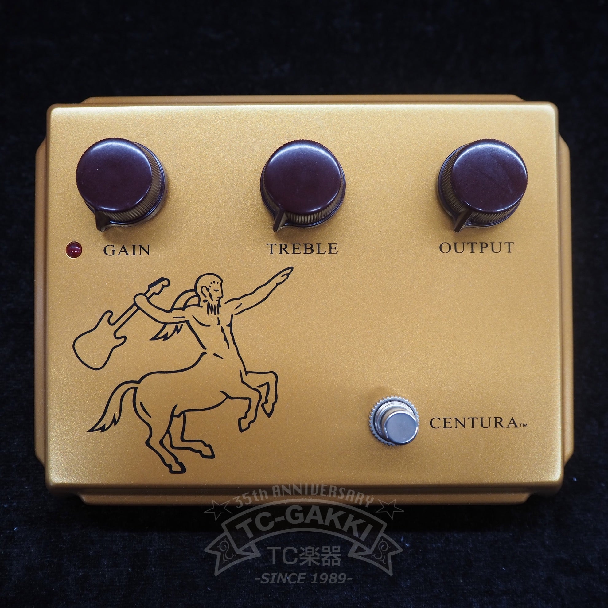 Centura Matte Gold Picture Early Ver. - TC楽器 - TCGAKKI