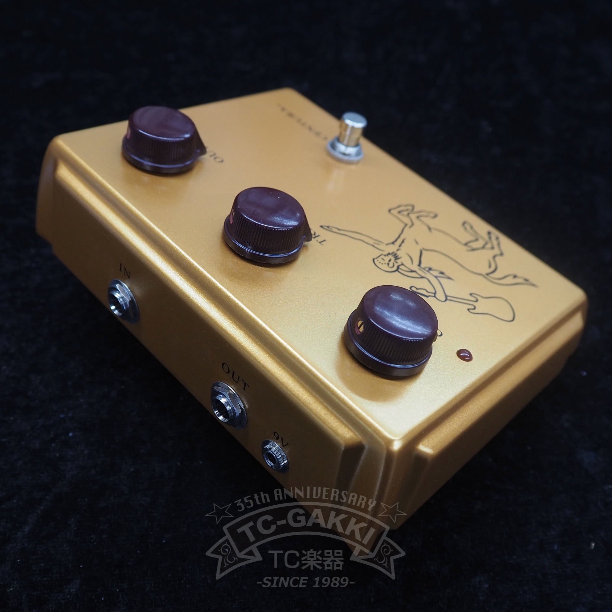 Centura Matte Gold Picture Early Ver. - TC楽器 - TCGAKKI