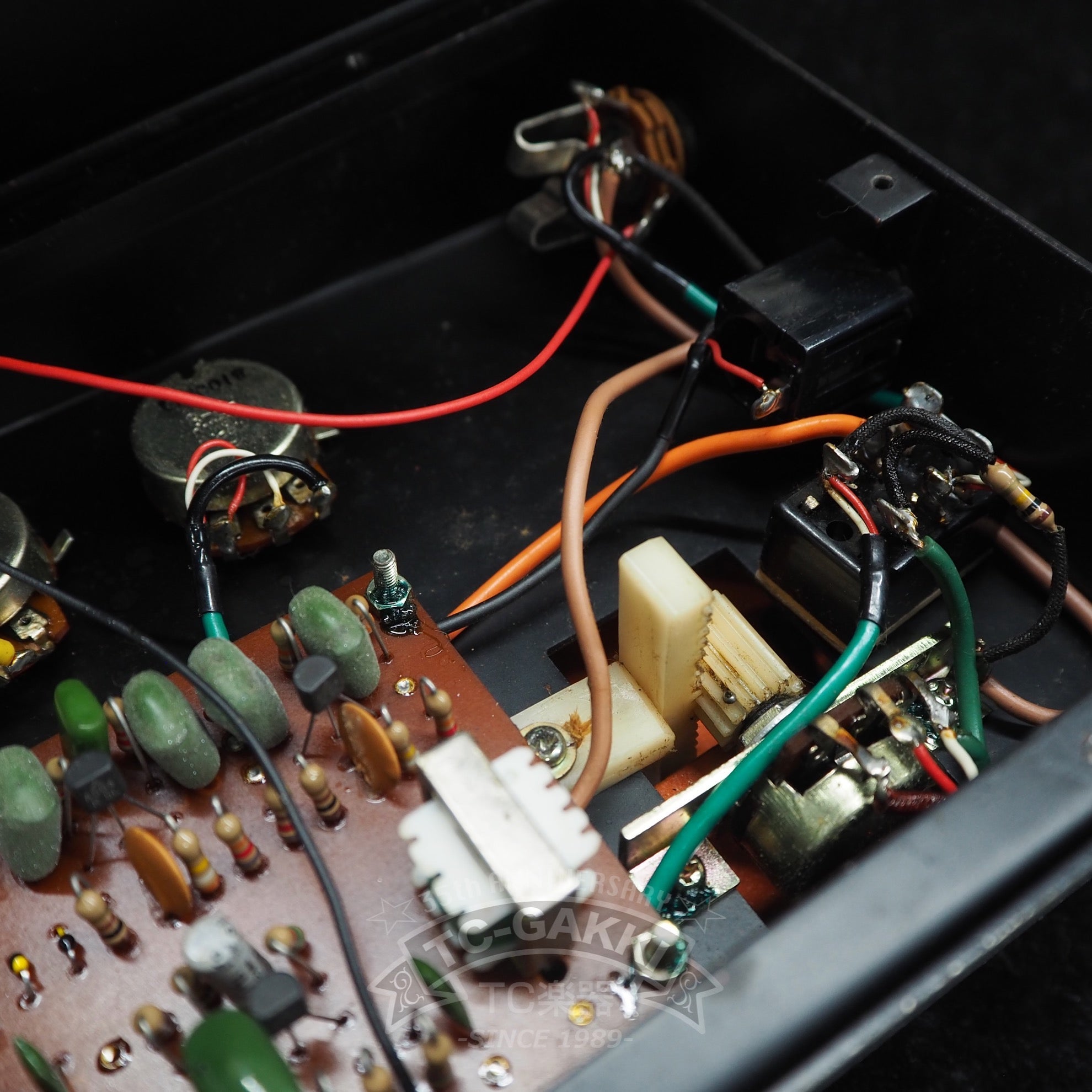 CF - 1 CRY FUZZ - TC楽器 - TCGAKKI