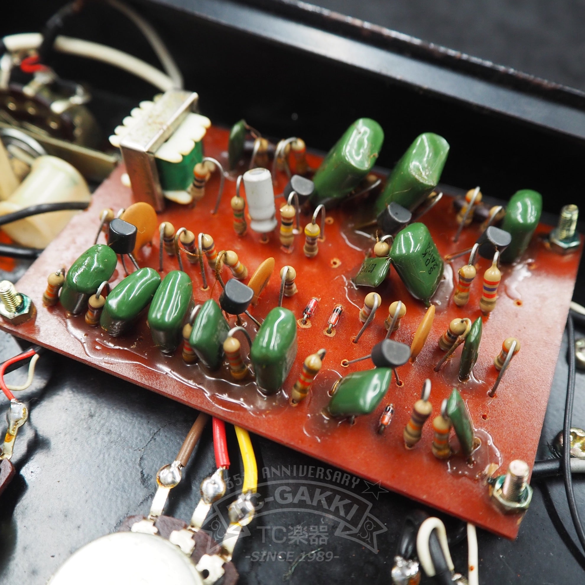 CF - 1 CRY FUZZ - TC楽器 - TCGAKKI