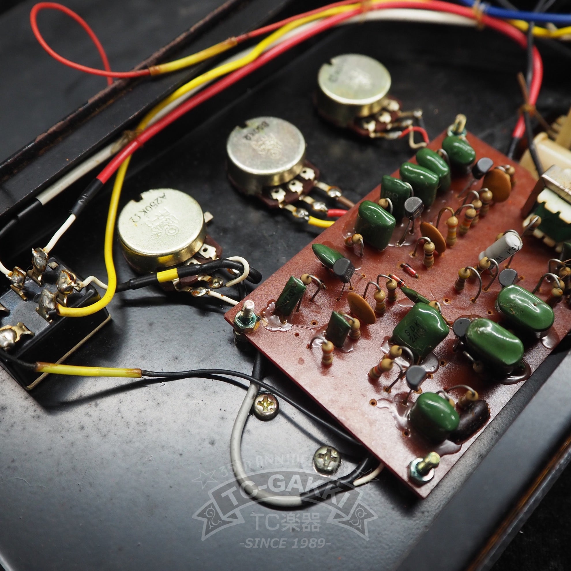 CF - 1 CRY FUZZ - TC楽器 - TCGAKKI