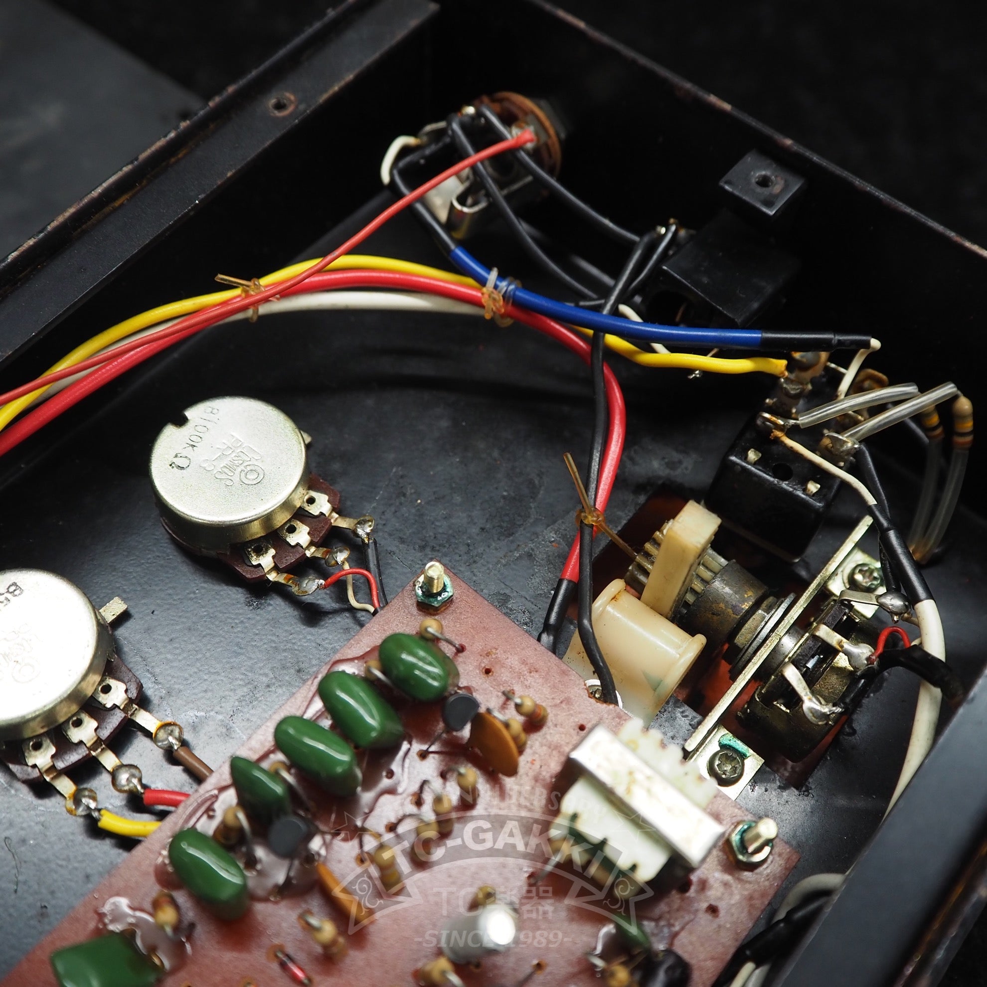 CF - 1 CRY FUZZ - TC楽器 - TCGAKKI